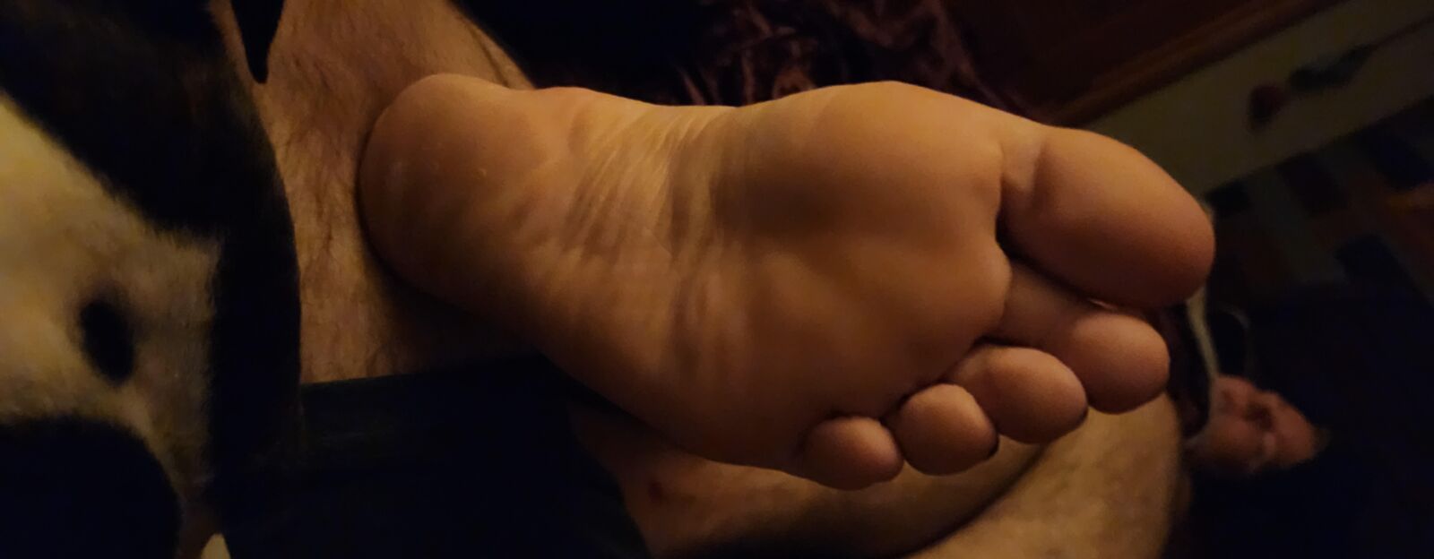 Soles