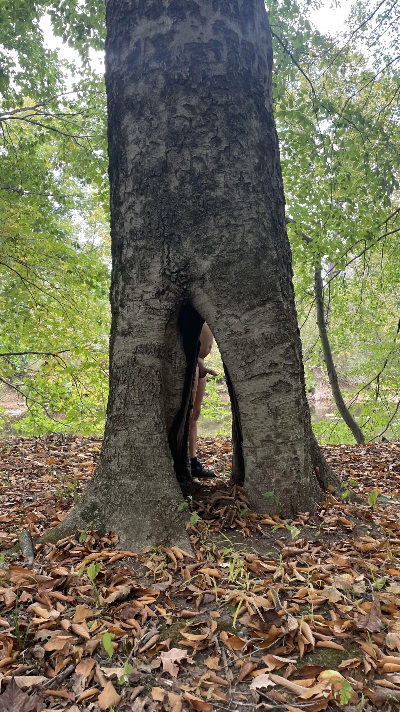 arroyo desnudo