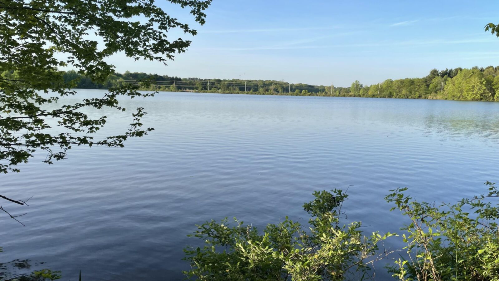 lago desnudo