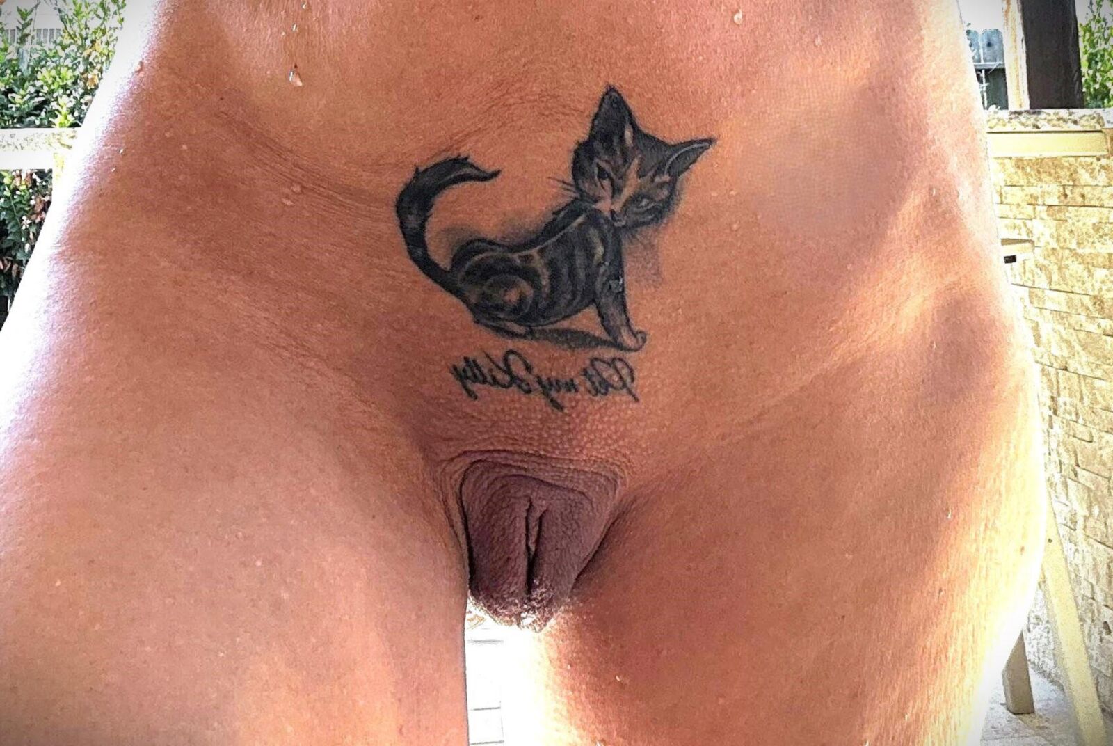 THE ART IN THE PUSSY III