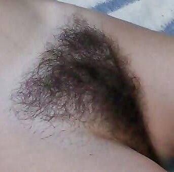 Pubes Galore 