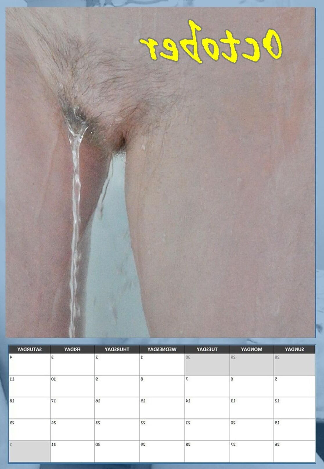 Susanne's hairy pussy calendar 