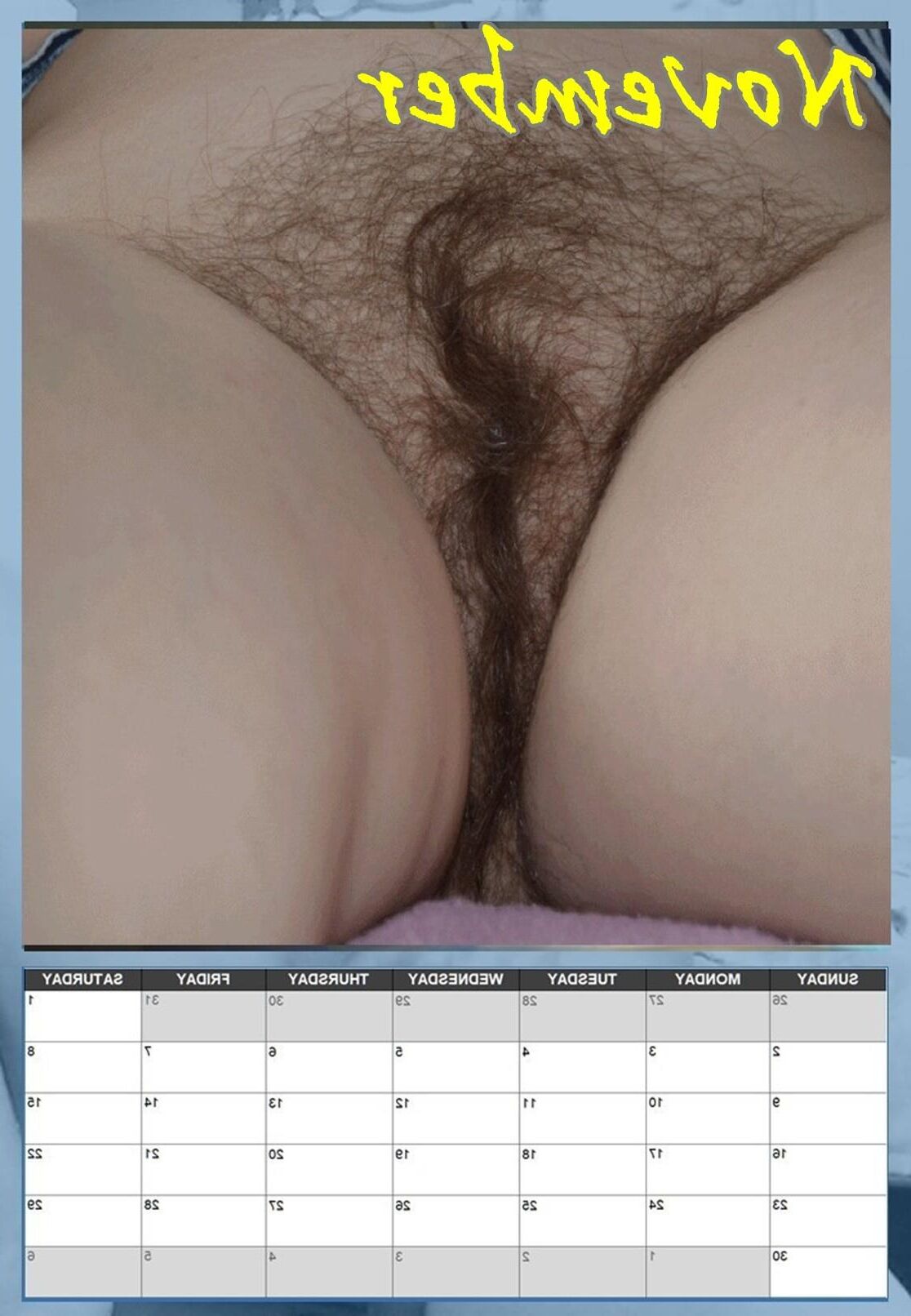 Susanne's hairy pussy calendar 