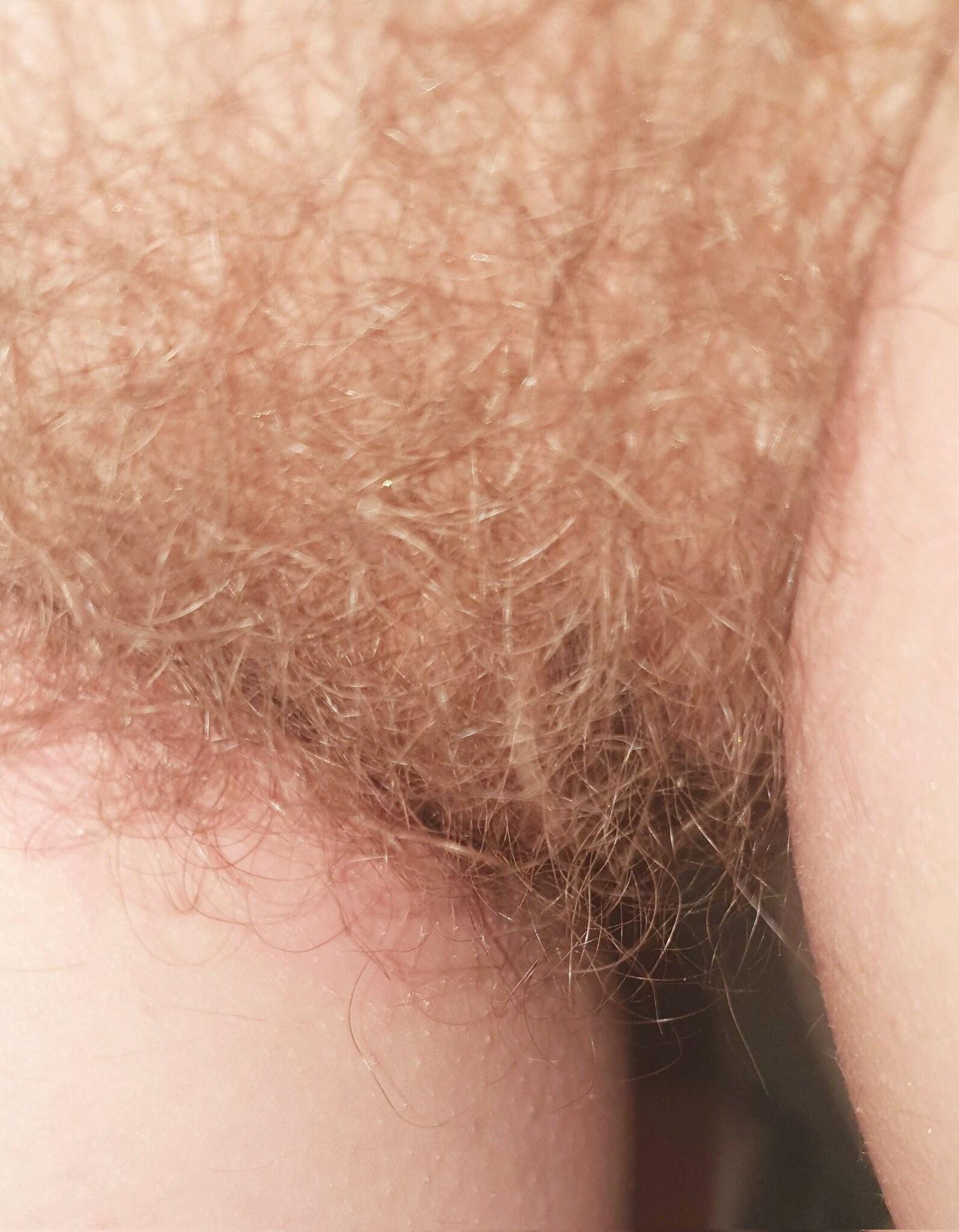 Pubes Galore 