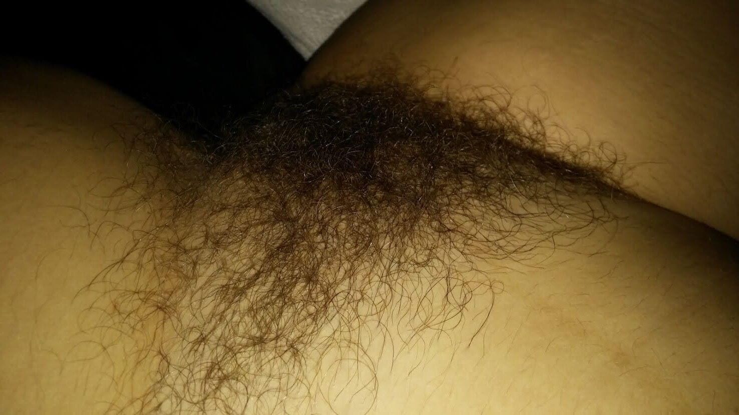 Pubes Galore 