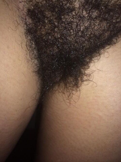 Pubes Galore 