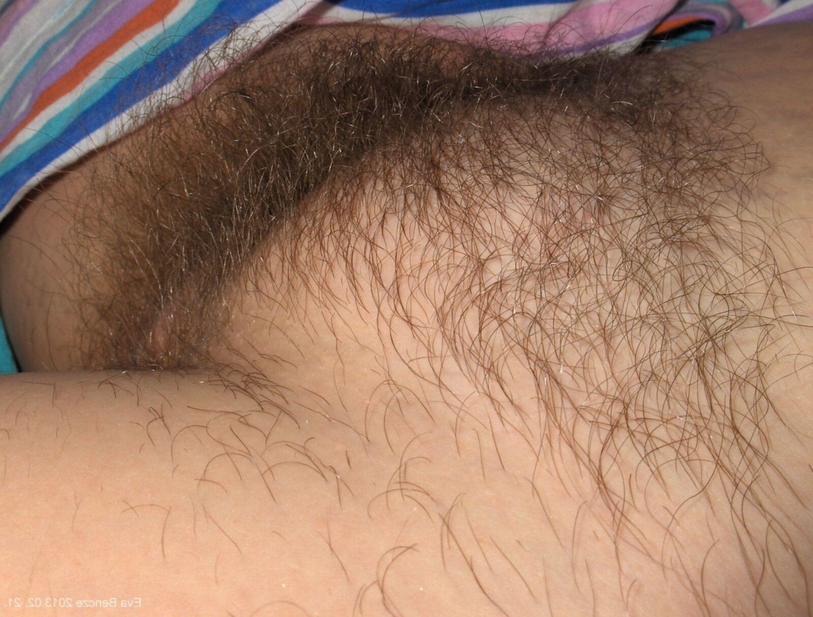 Pubes Galore 