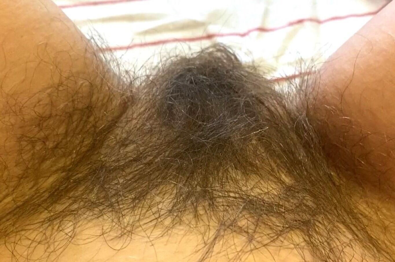 Pubes Galore 