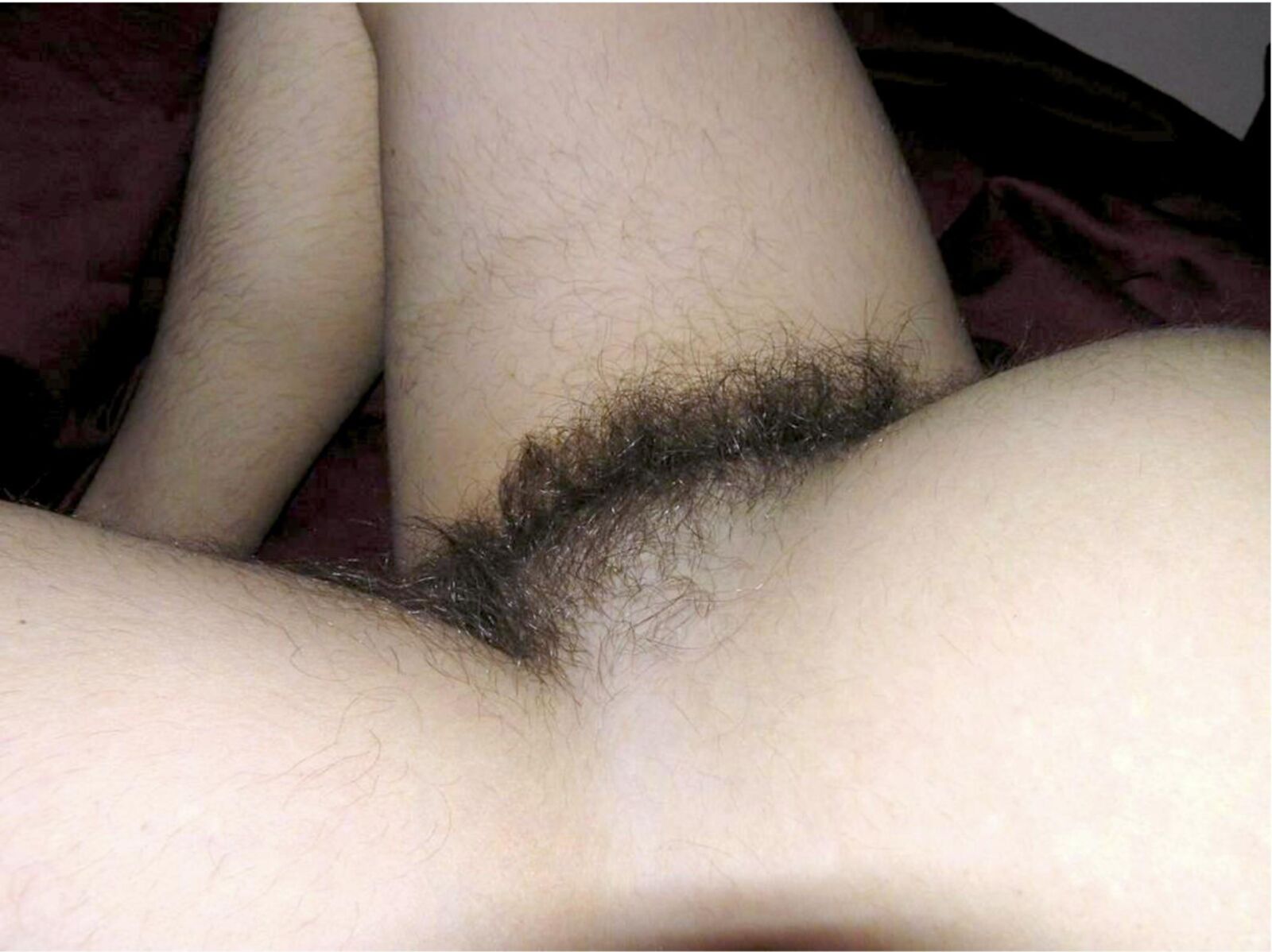 Pubes Galore 