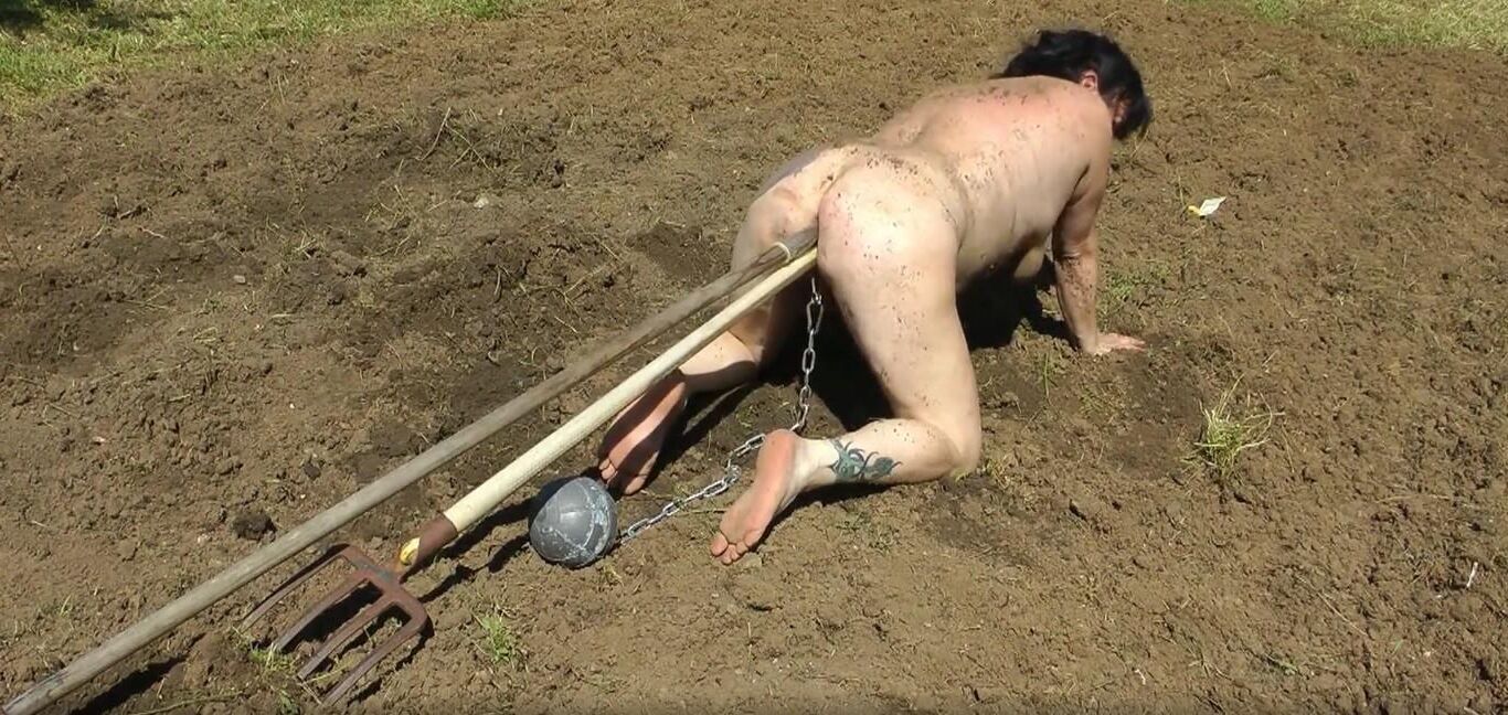 naked slave woman plowing the field 