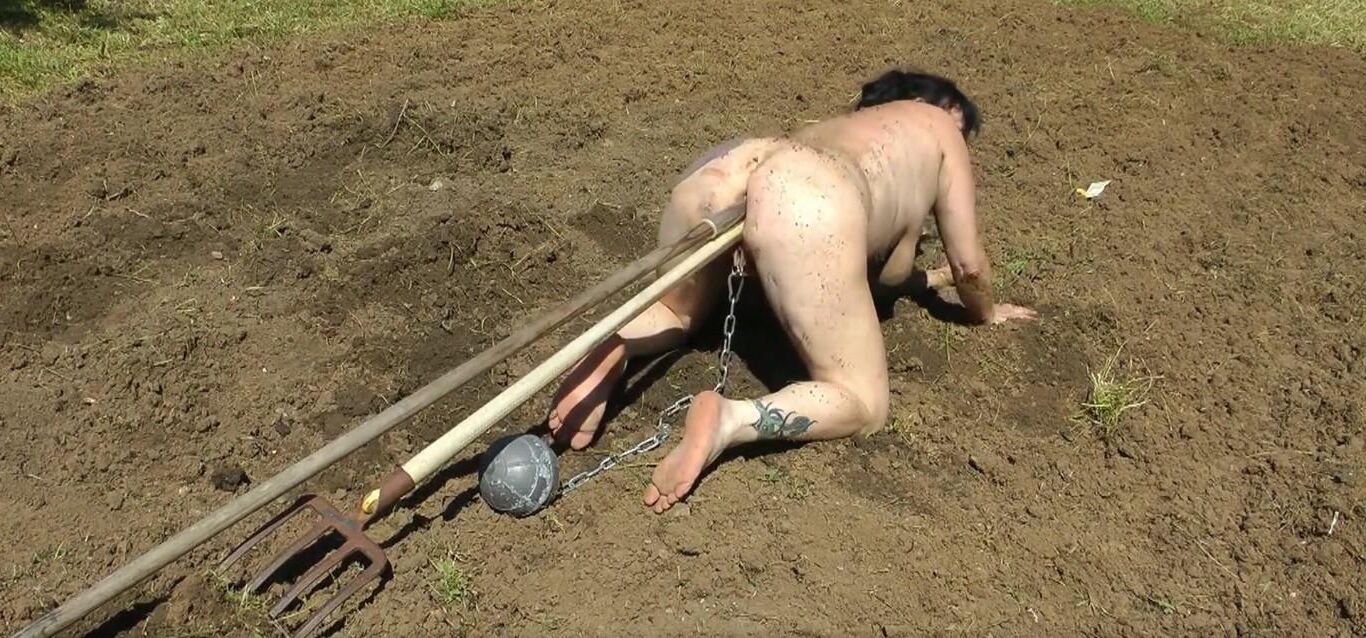 naked slave woman plowing the field 