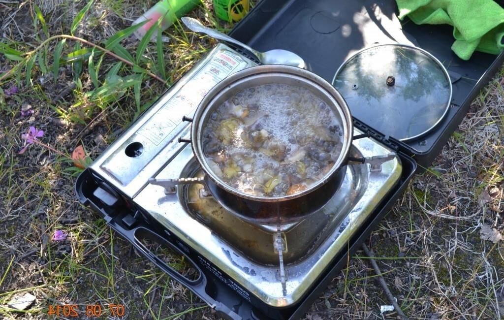 Любительская пара свингера