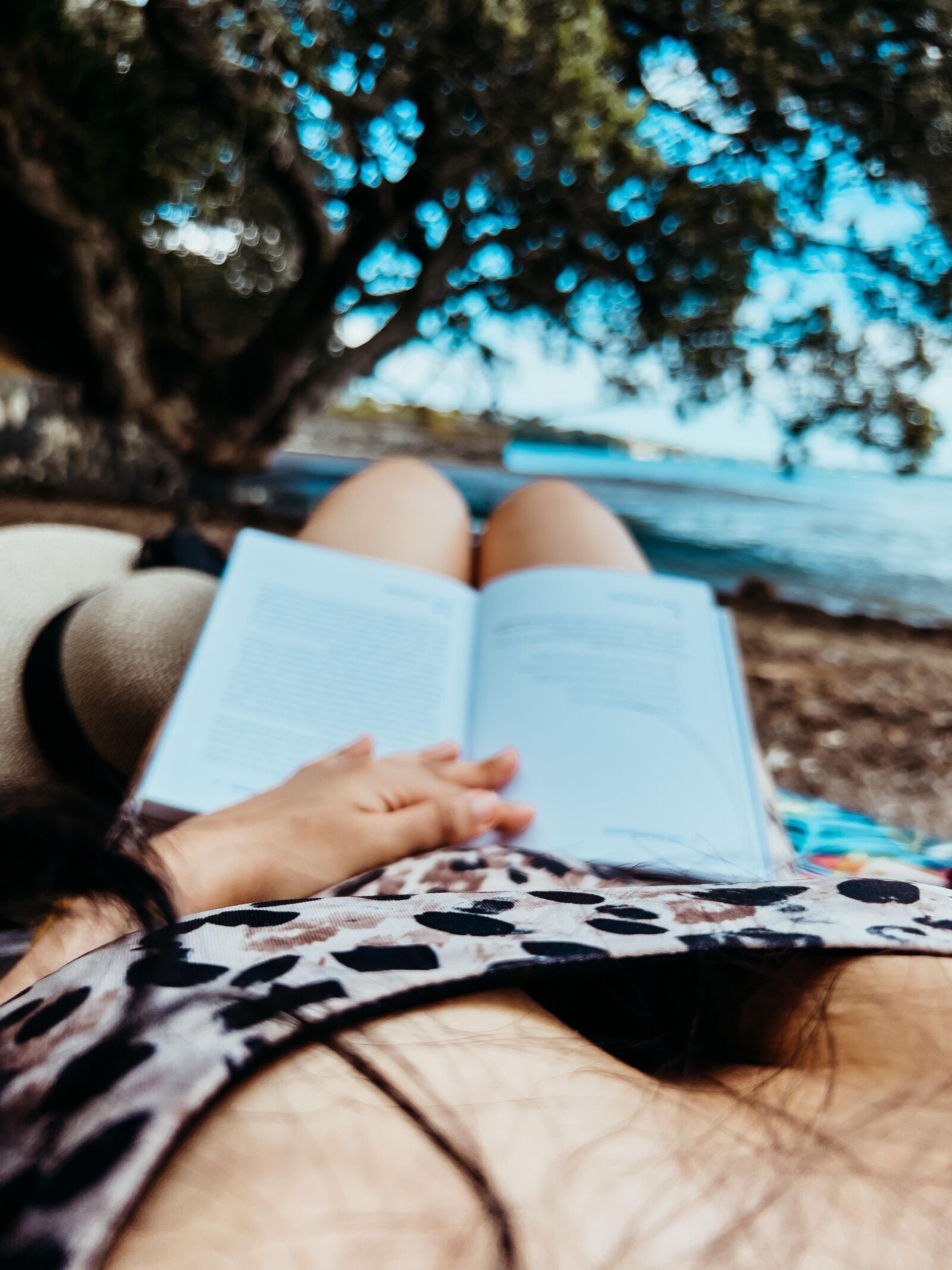 Reading is Fun damental, Vol. 