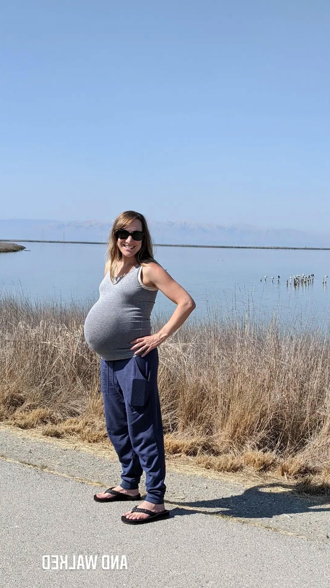 Pregnant In May 