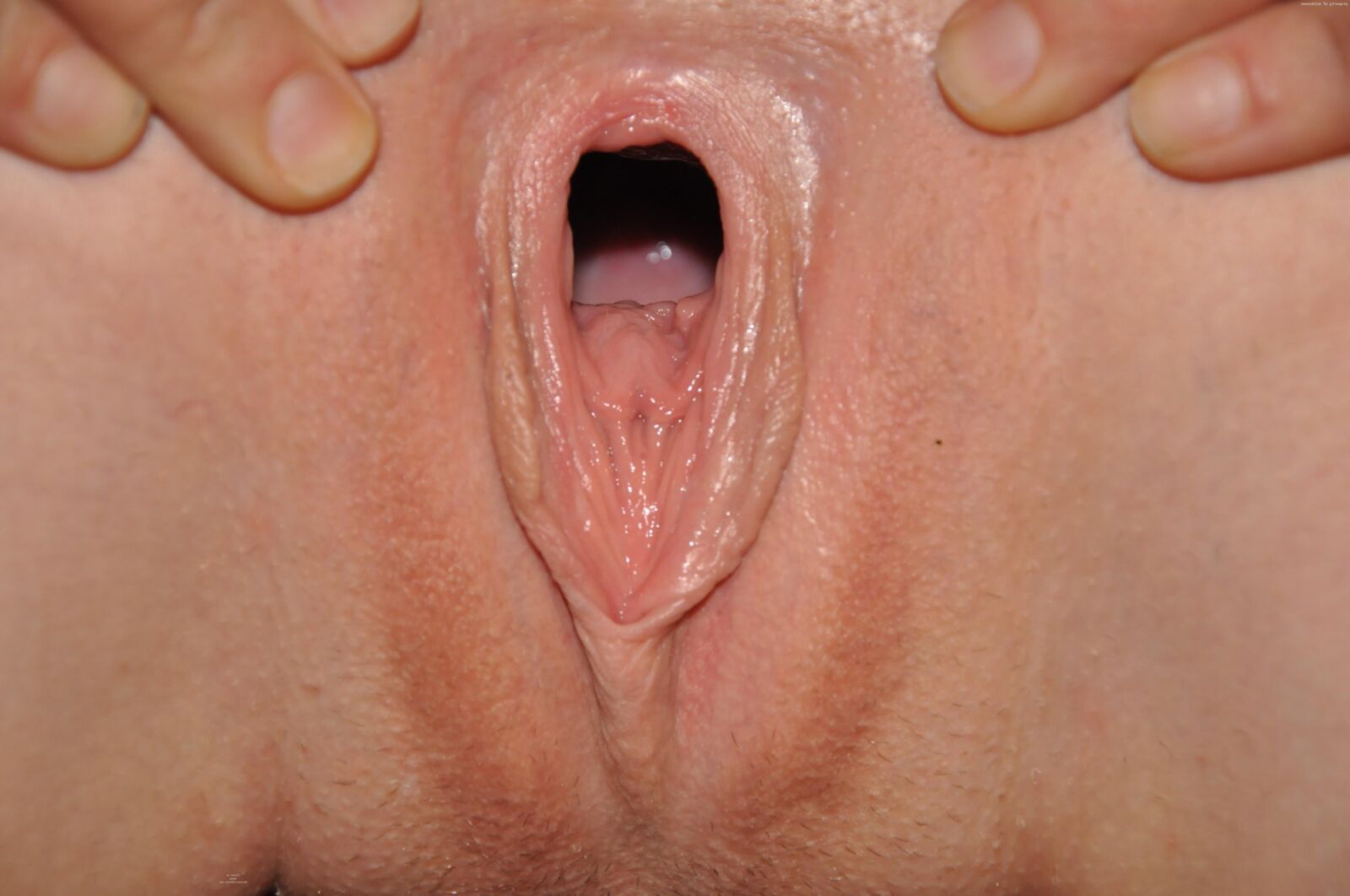 Austrian whore wife