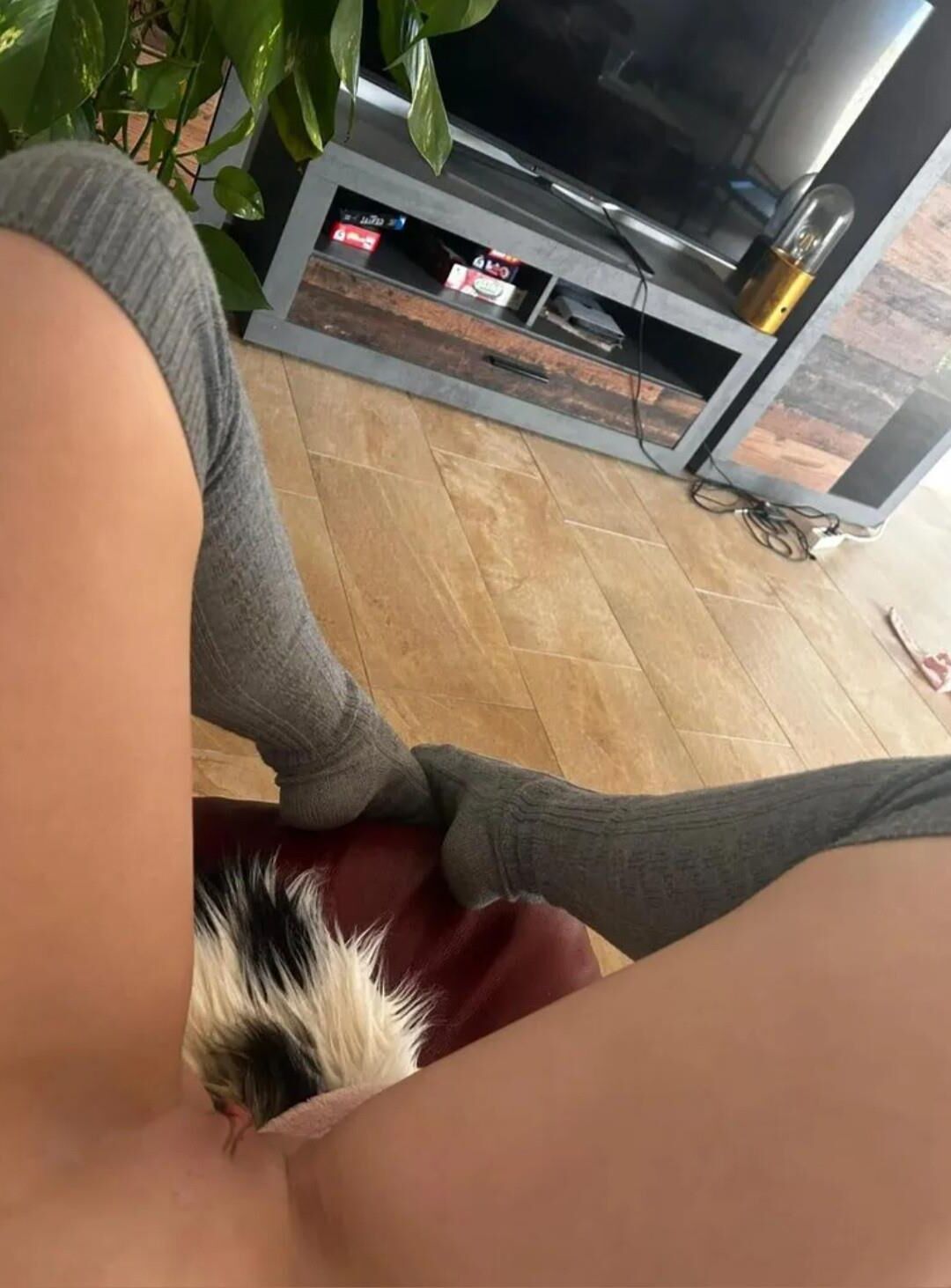 American Nurse Fuck Toy