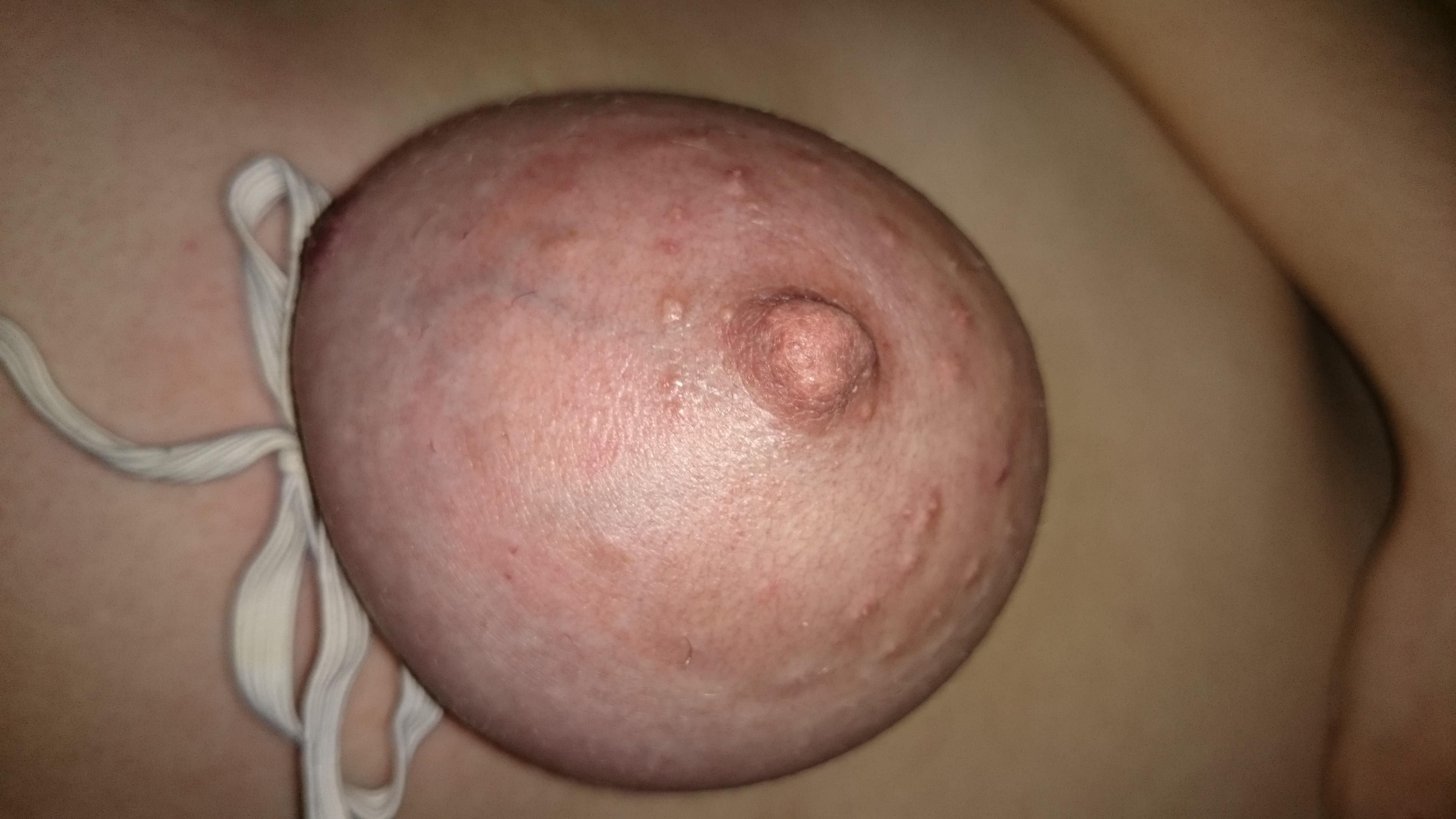 Mi perra edyta para volver a publicar