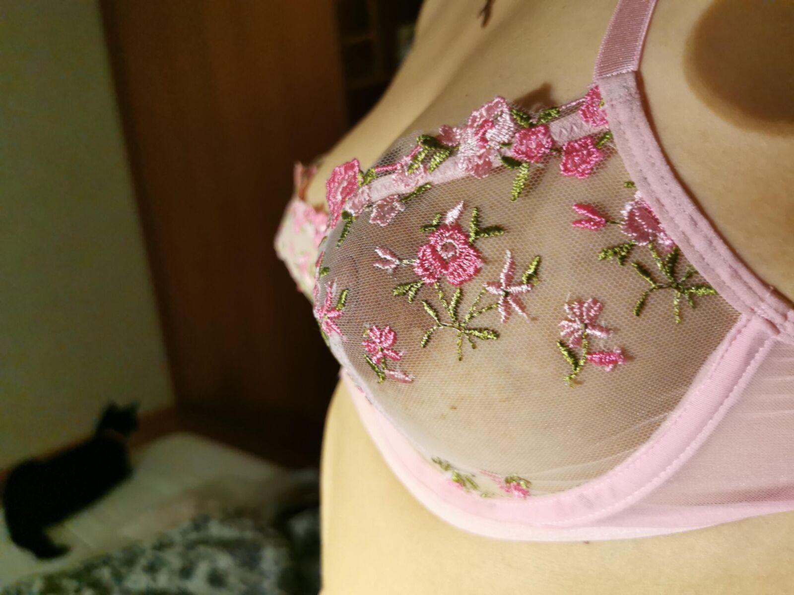  Aliexpress Review
