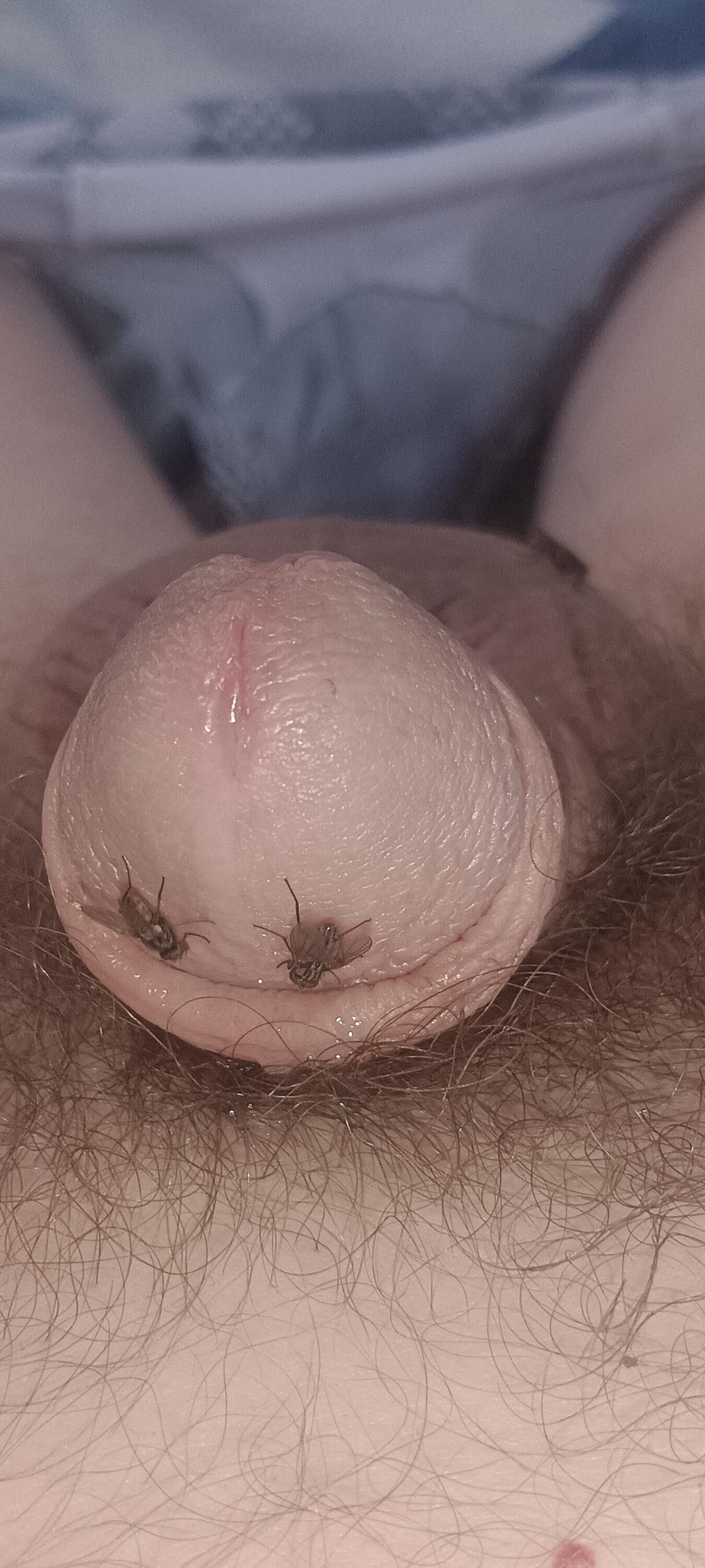 Volar y mi polla