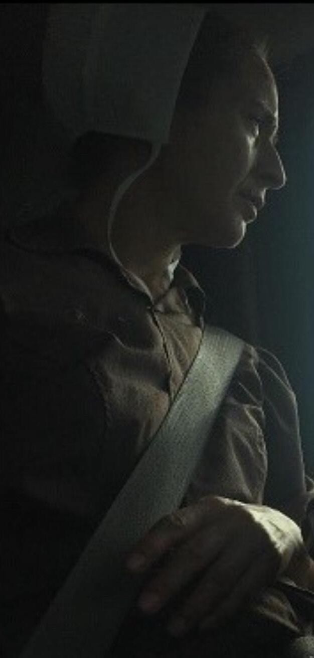 Mis fotos sinceras favoritas de mujeres amish