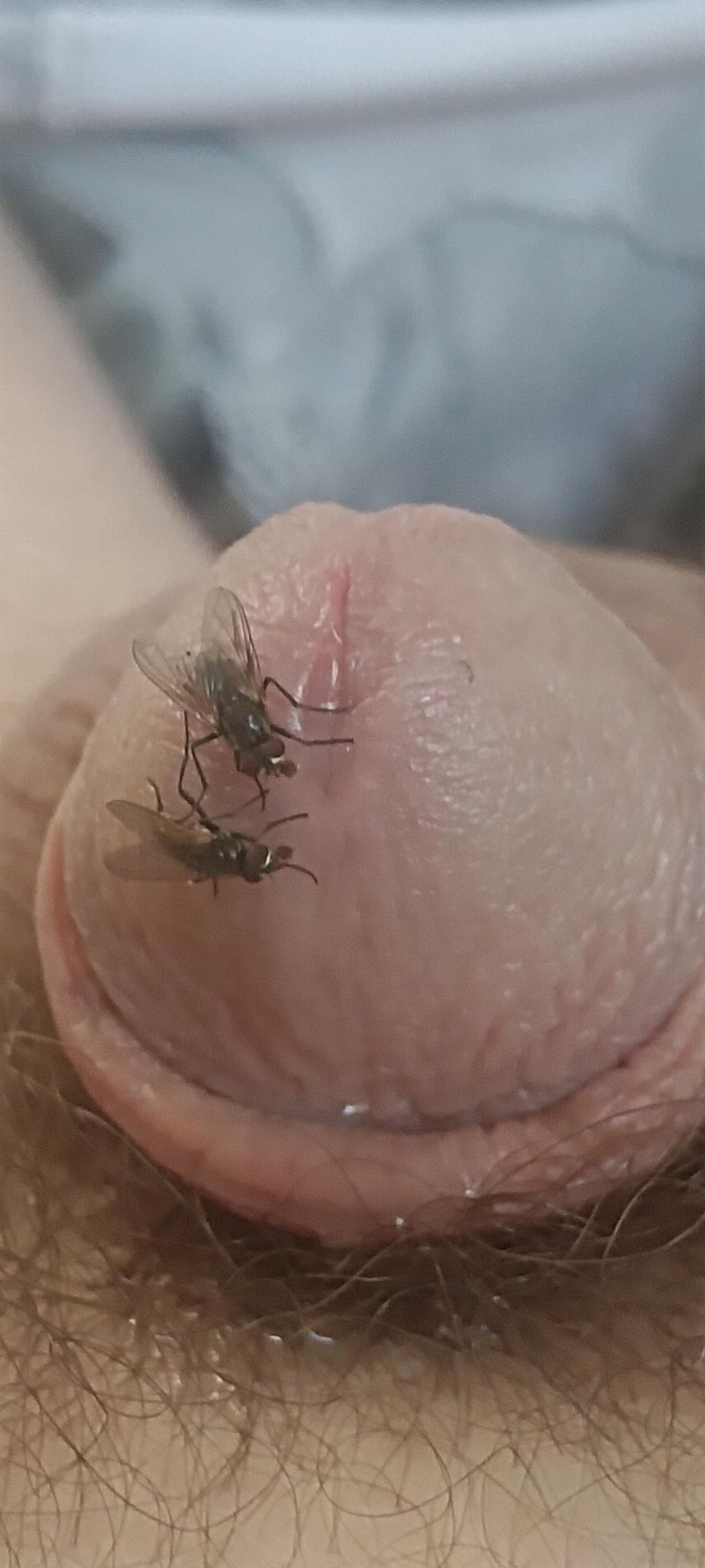 Volar y mi polla