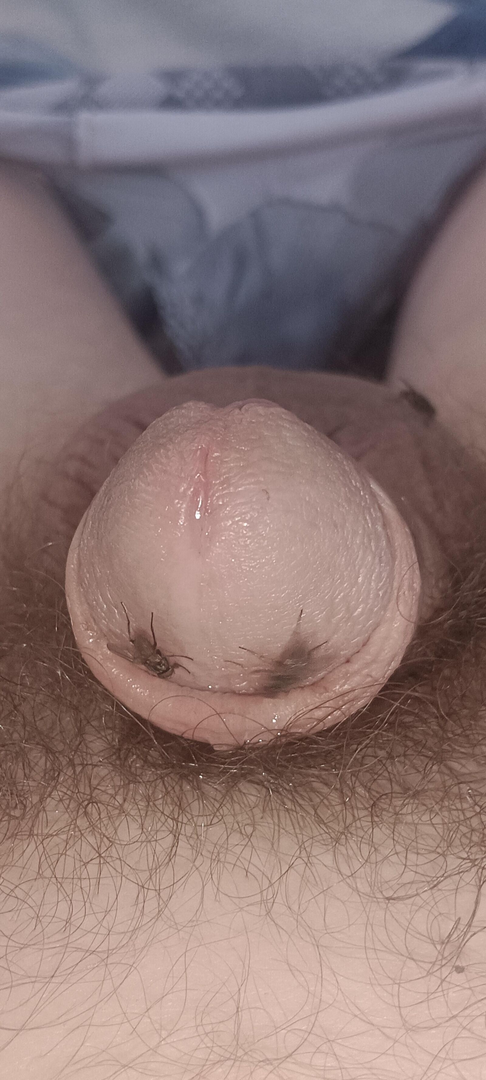 Volar y mi polla