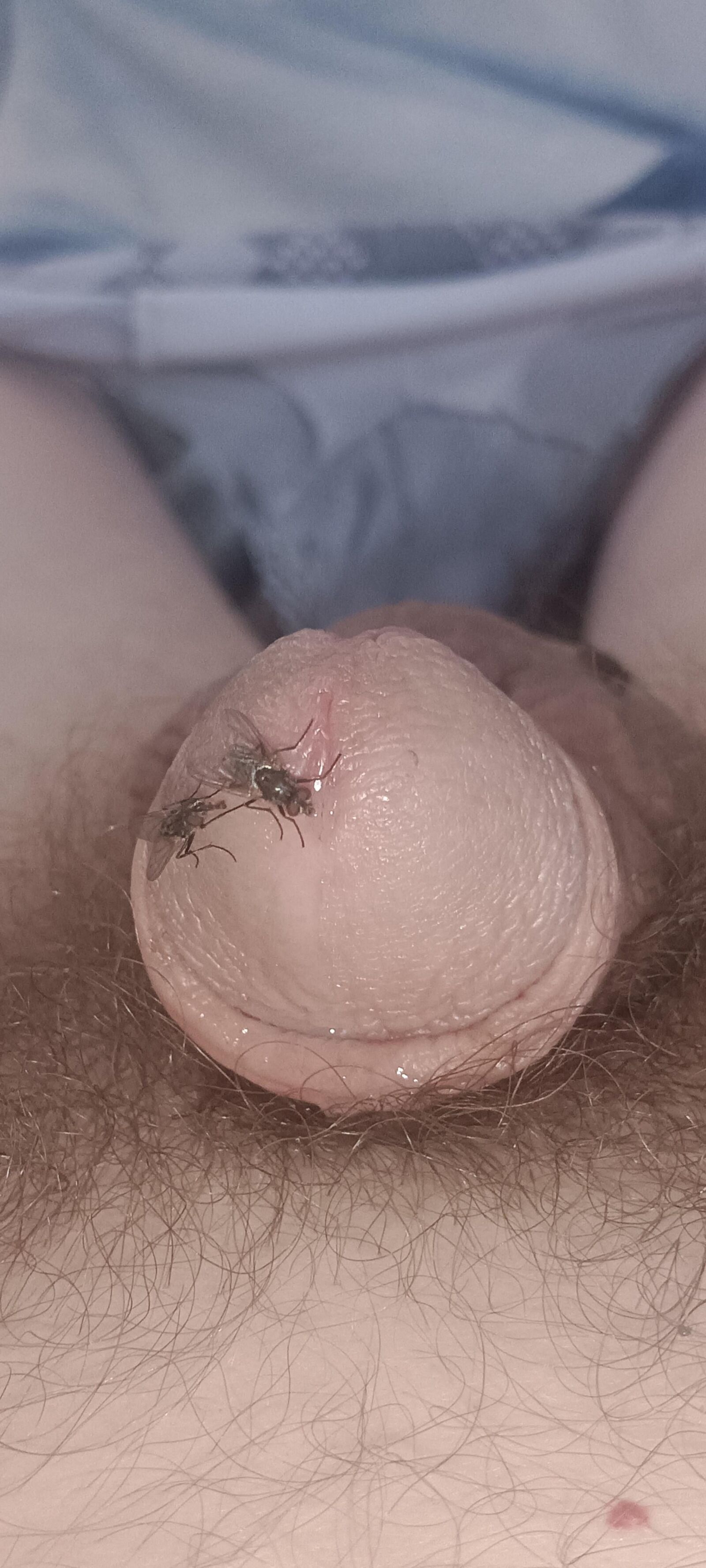 Volar y mi polla