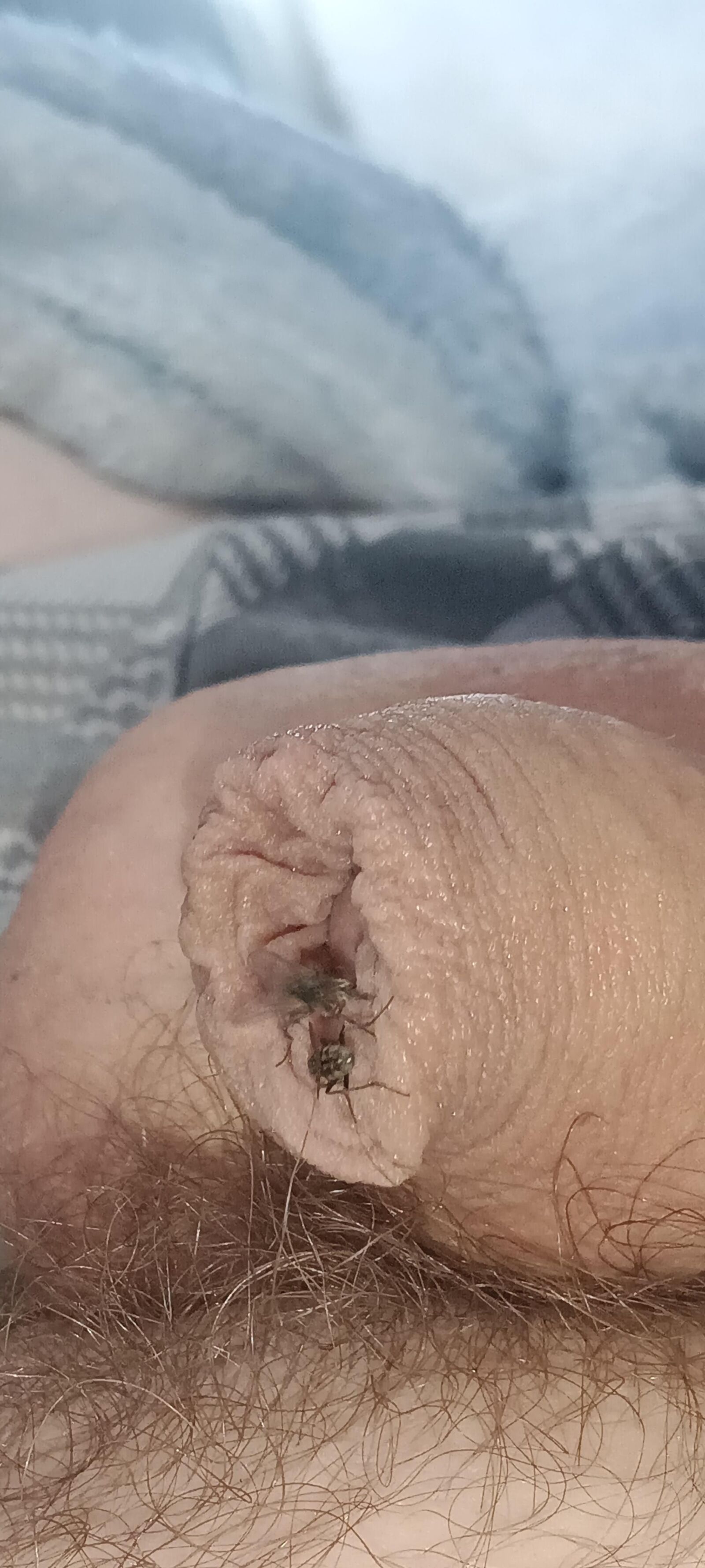 Volar y mi polla