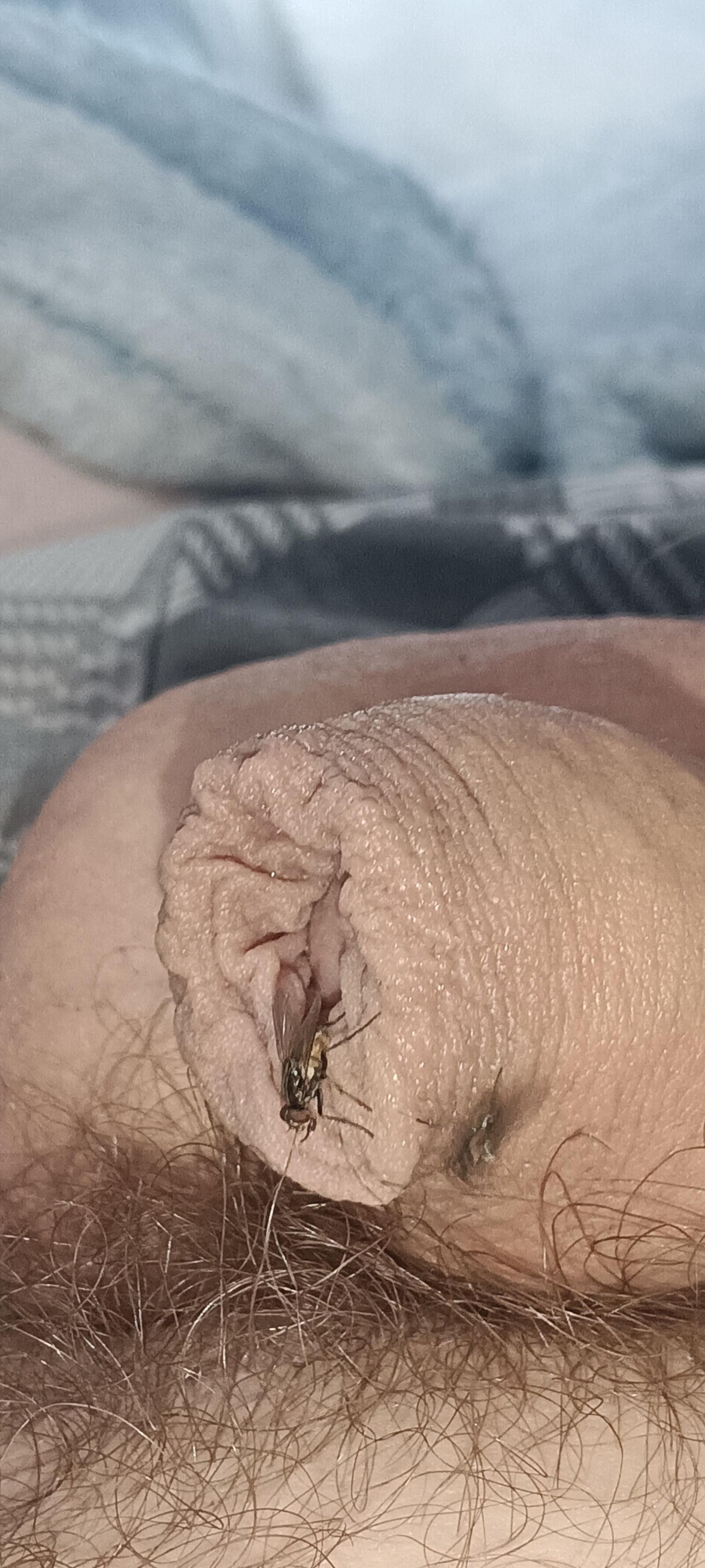 Volar y mi polla