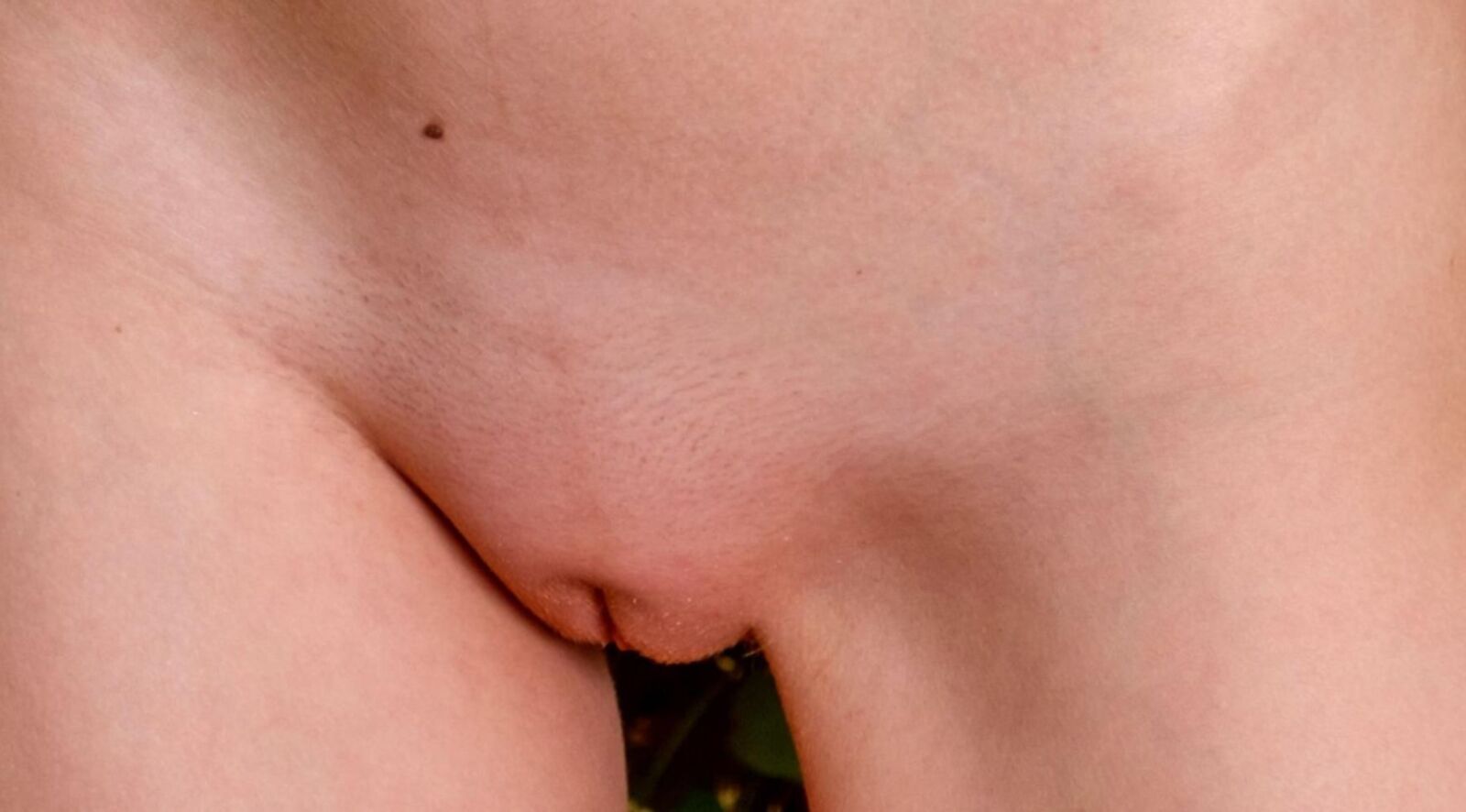 closeup pussy