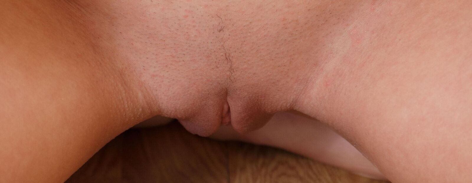 closeup pussy