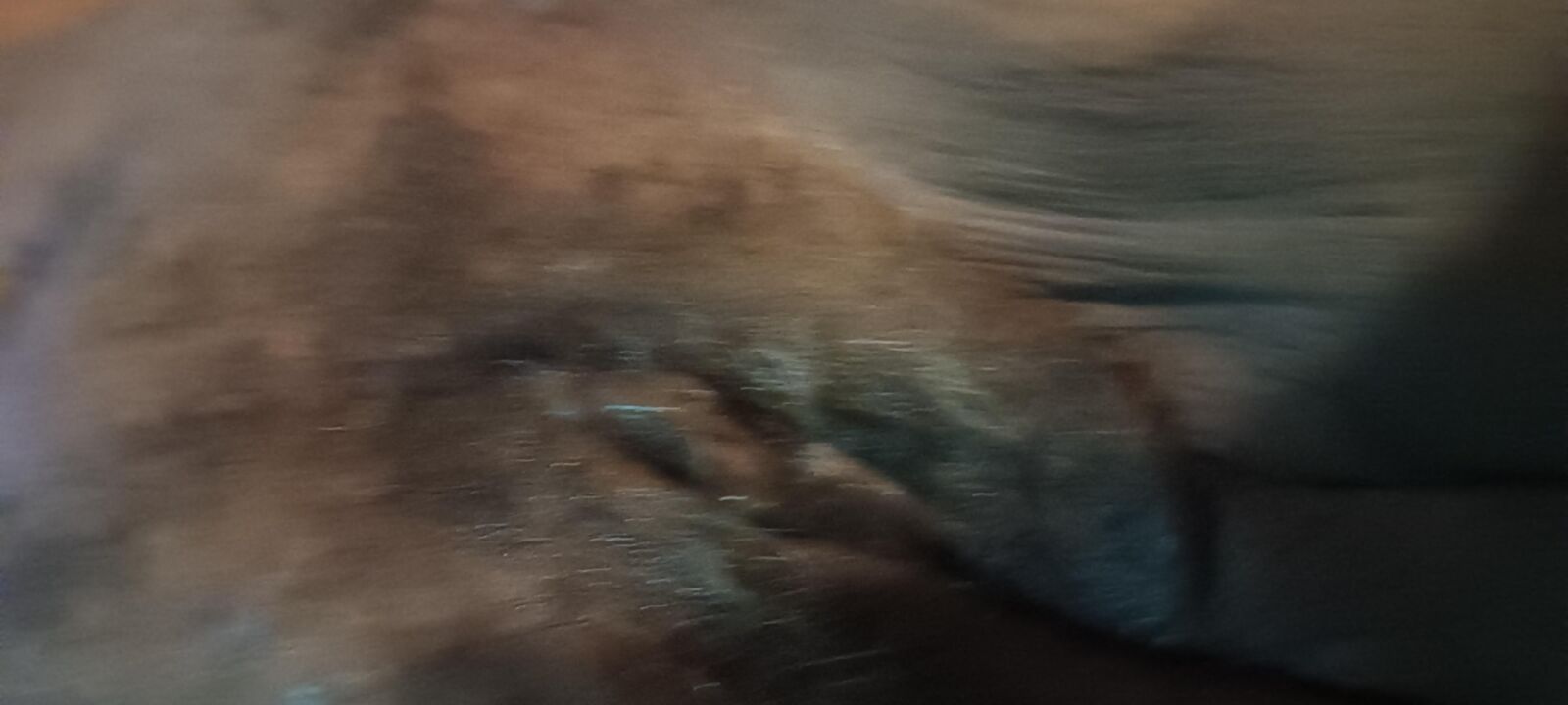 Seguro