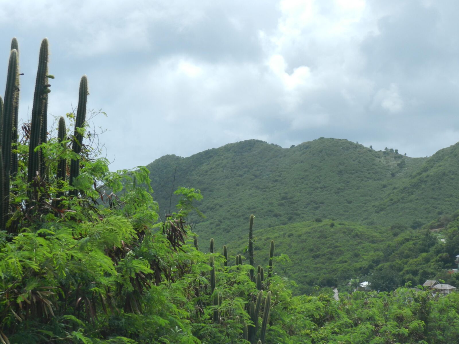 St. Martin -Reise mit Mama (Flickr)