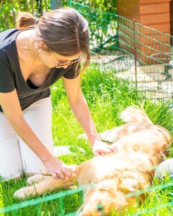 Sexy women with dogs #