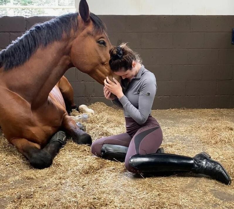 Sexy women with horses 