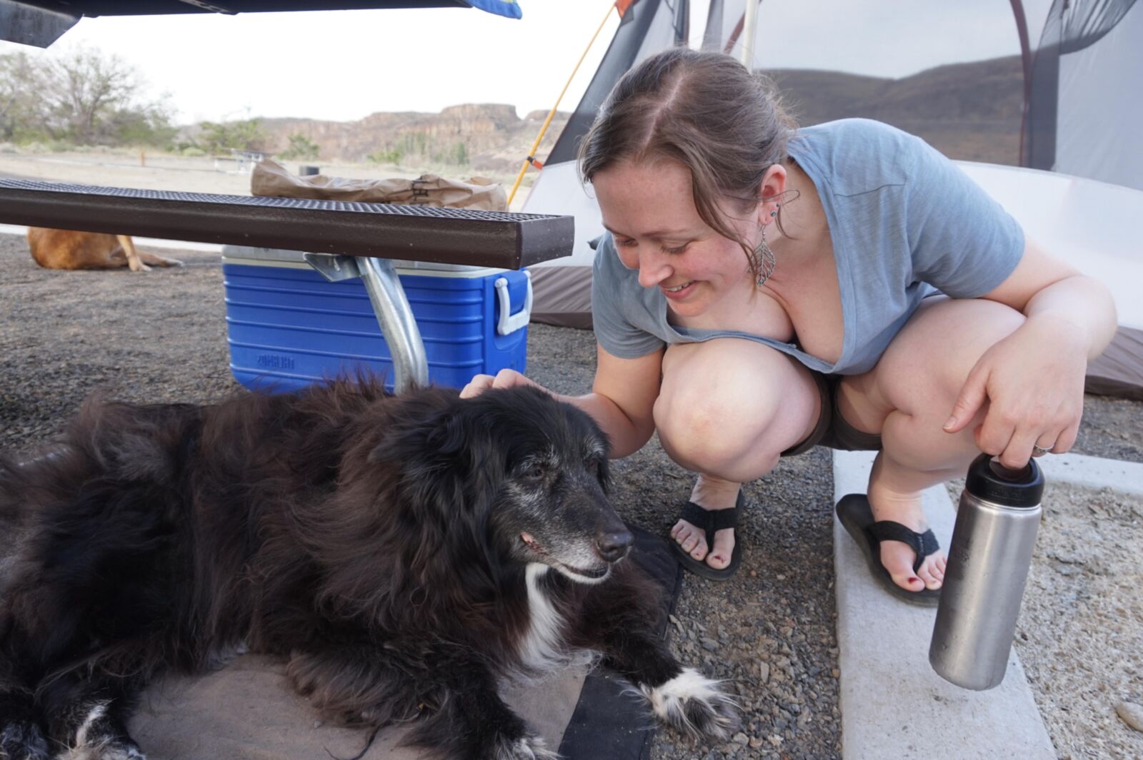 Sexy women with dogs #