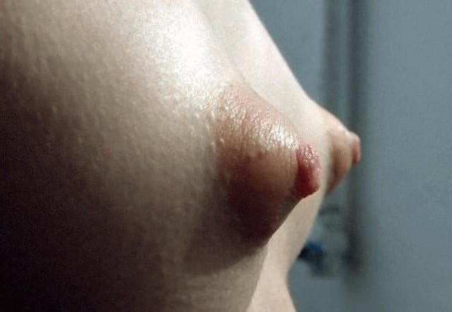 Perfect Puffies