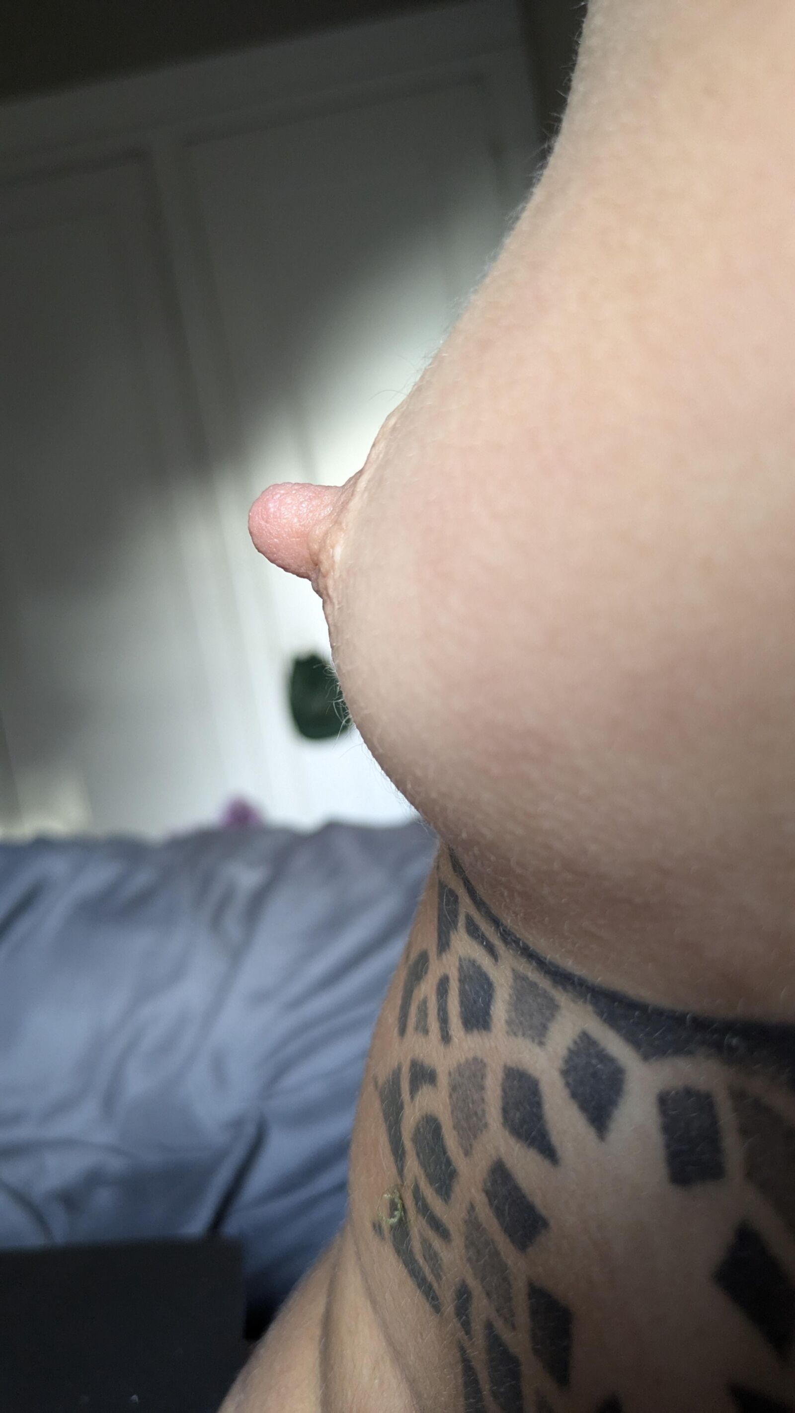 Little Slut 