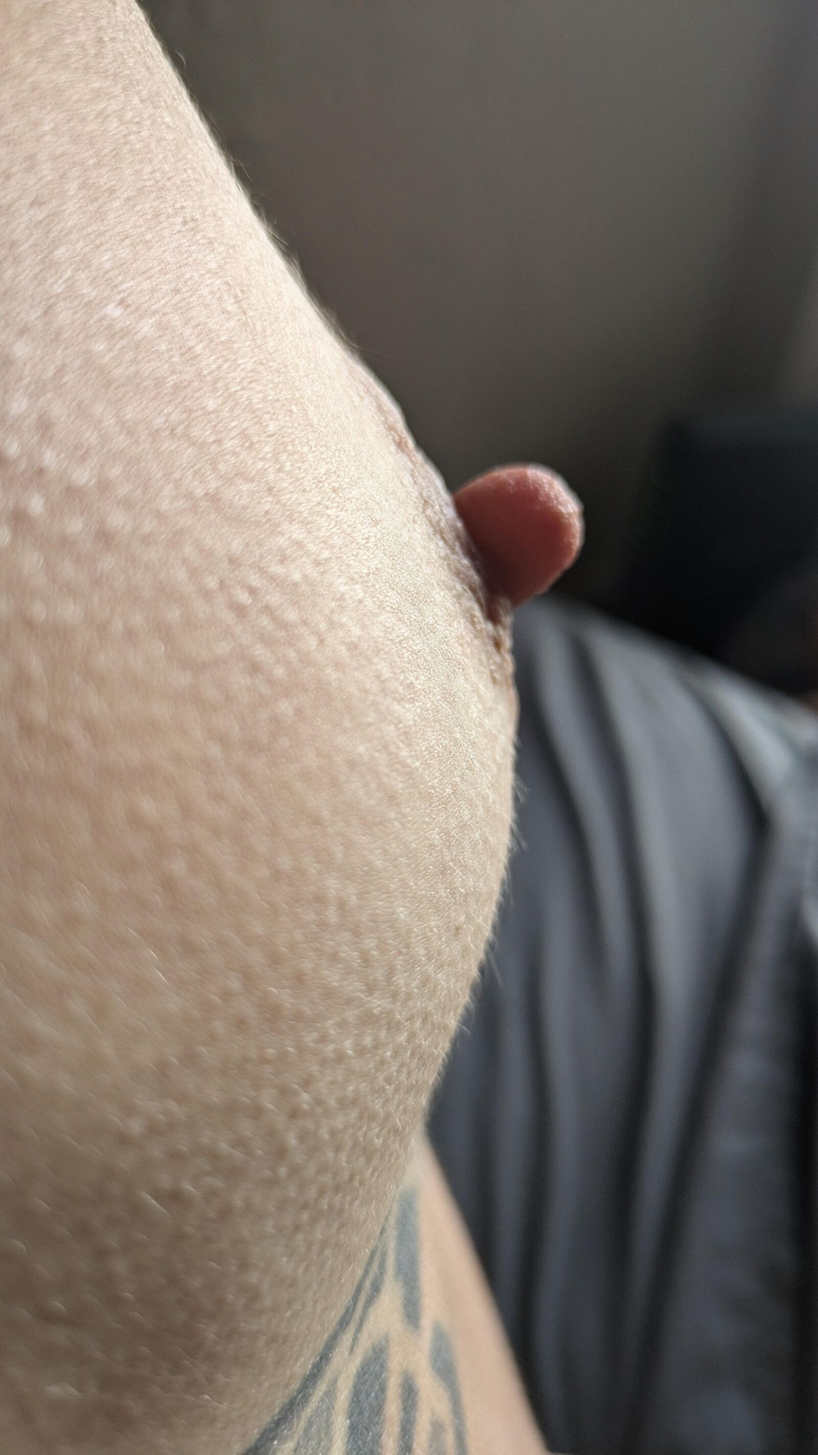 Little Slut 