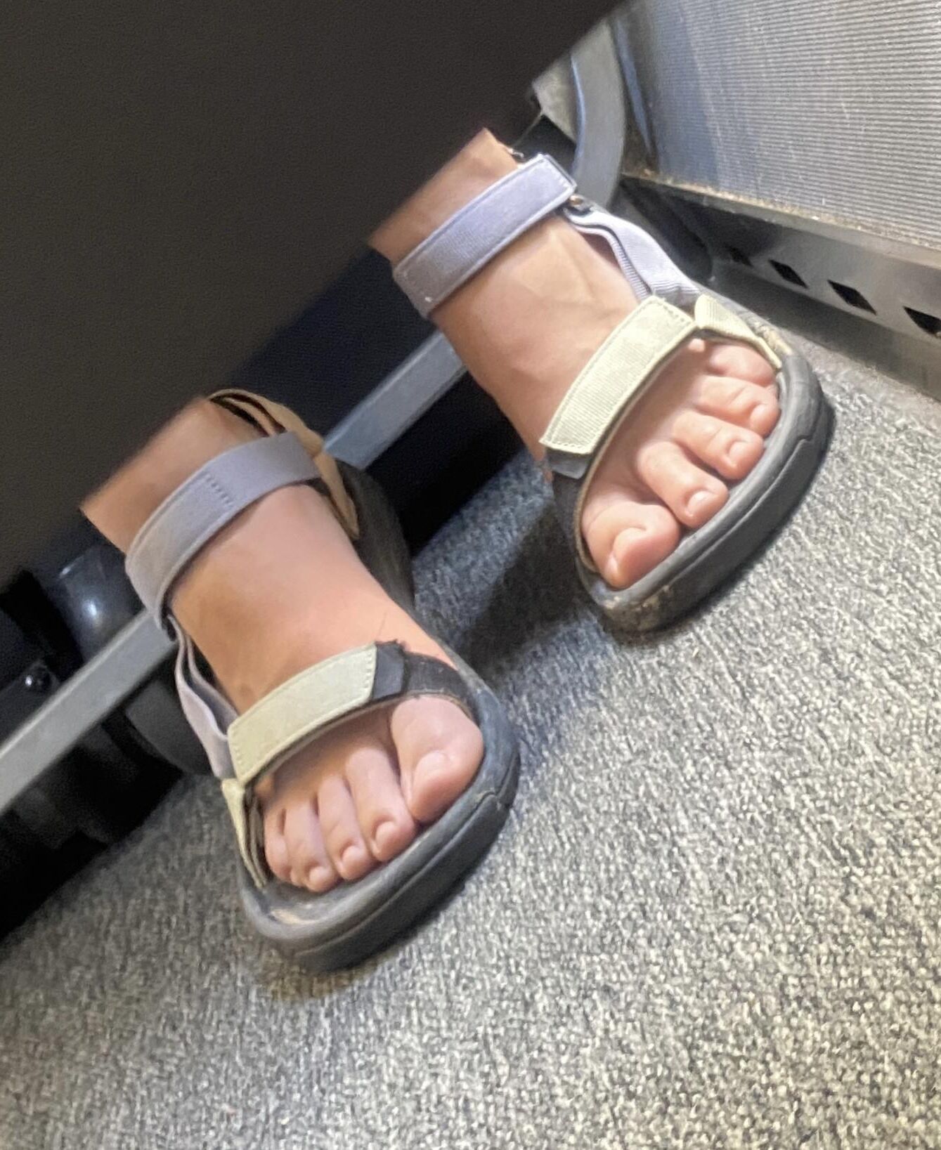 私はスパイします