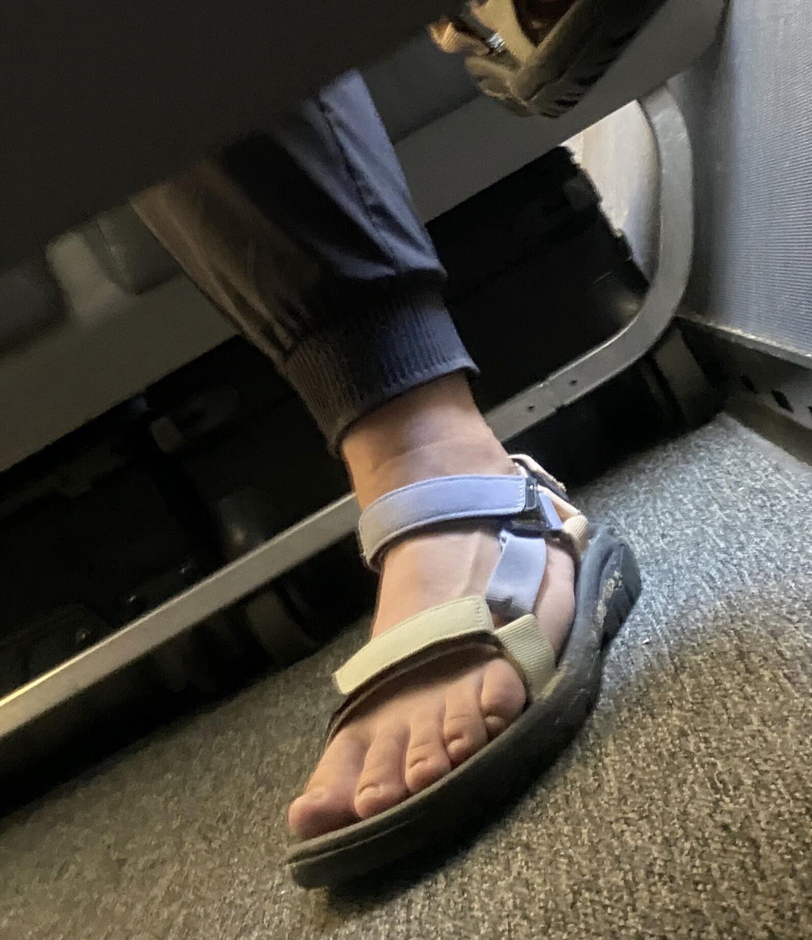 私はスパイします