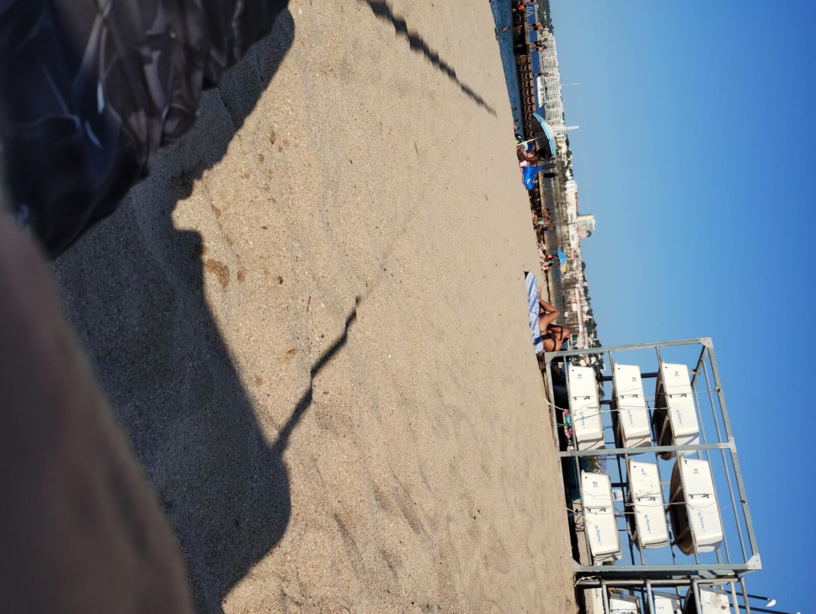 Coquines a la plage de frejus