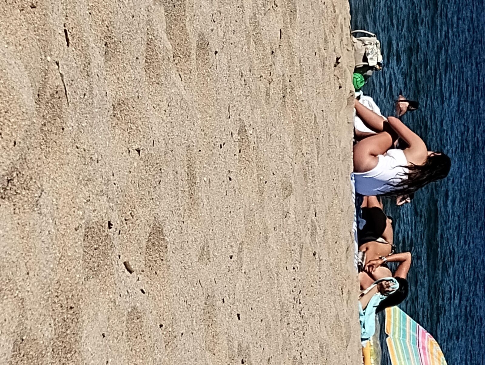 Coquines a la plage de frejus