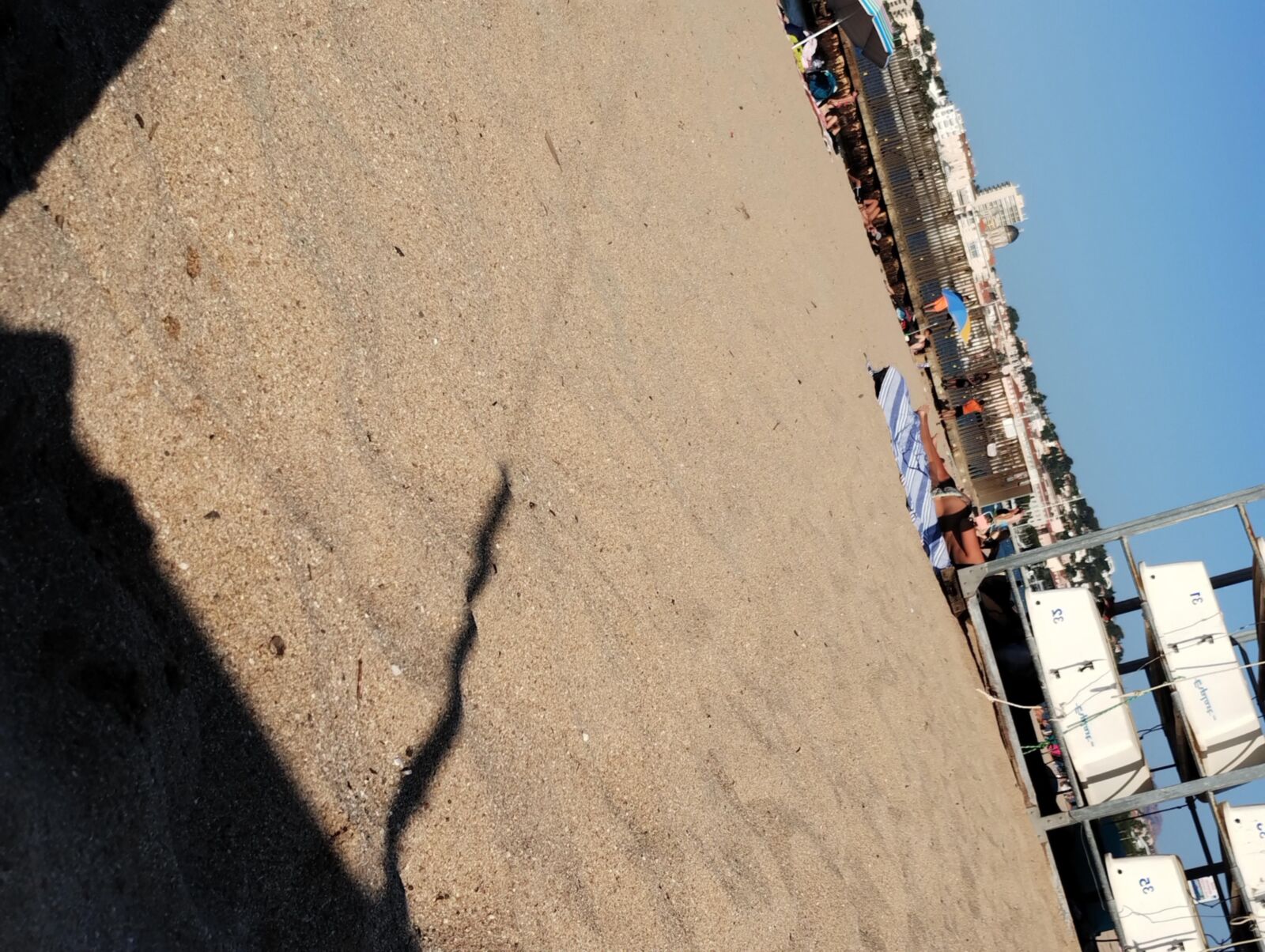 Coquines a la plage de frejus