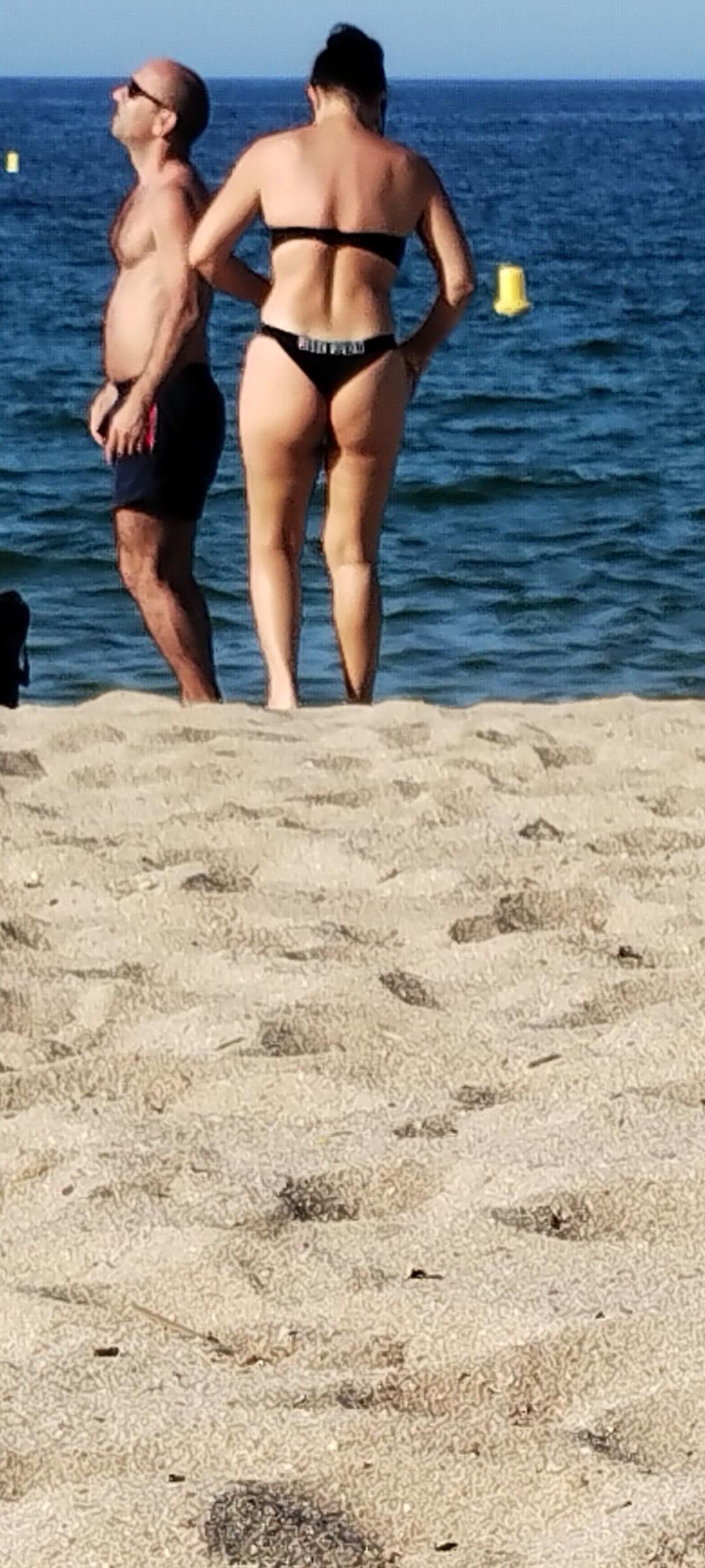 Coquines a la plage de frejus
