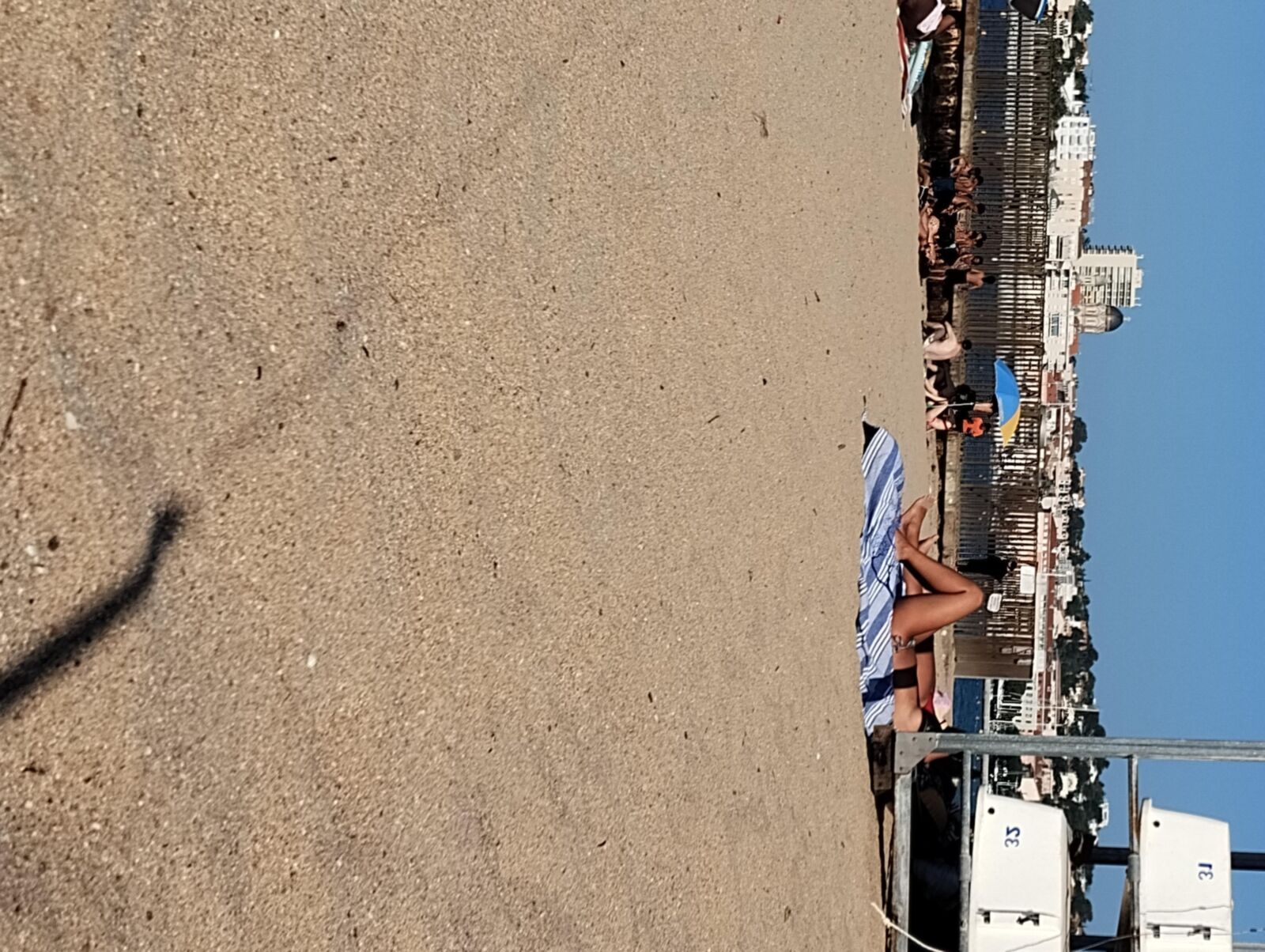 Coquines a la plage de frejus