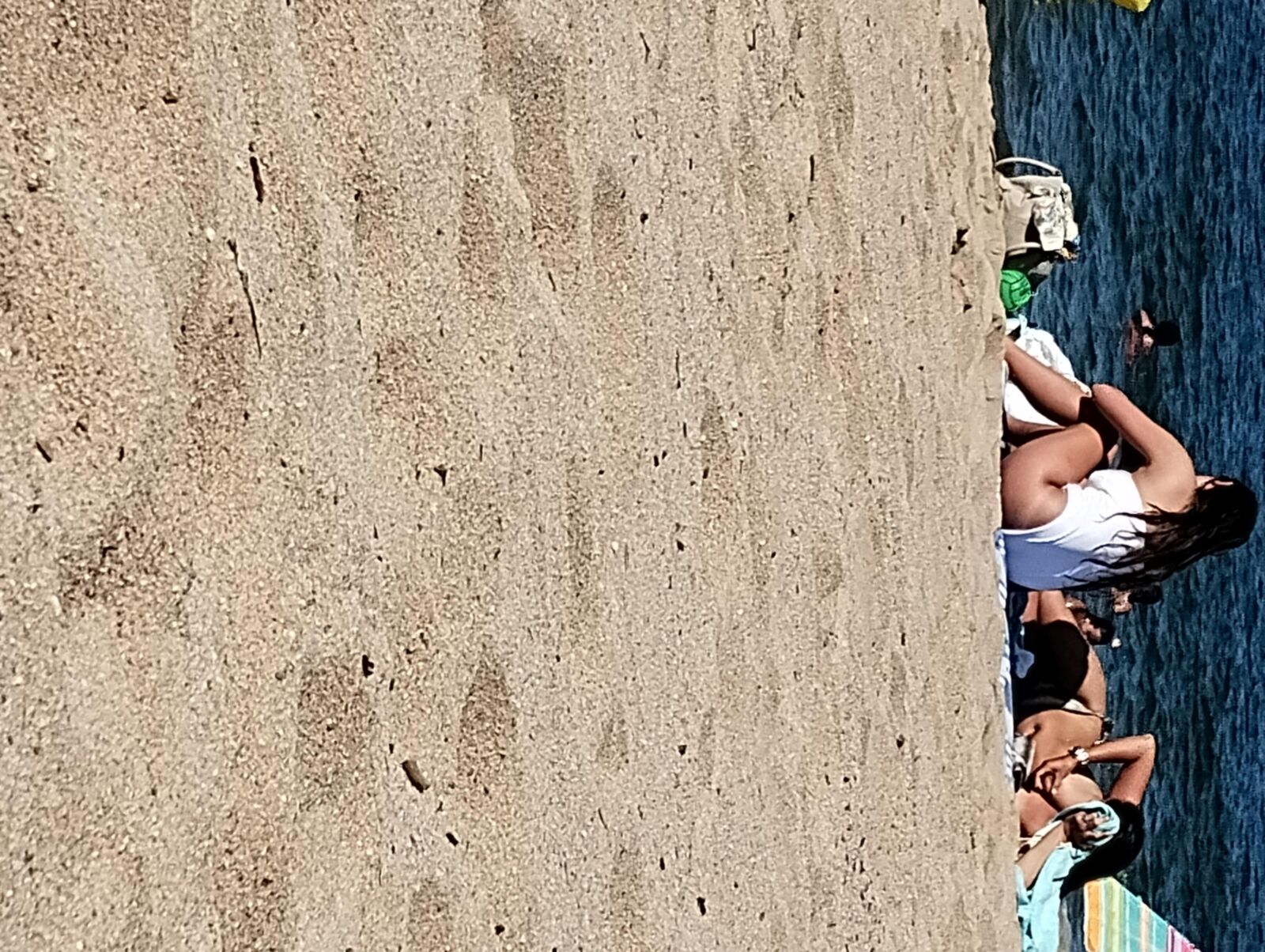 Coquines a la plage de frejus