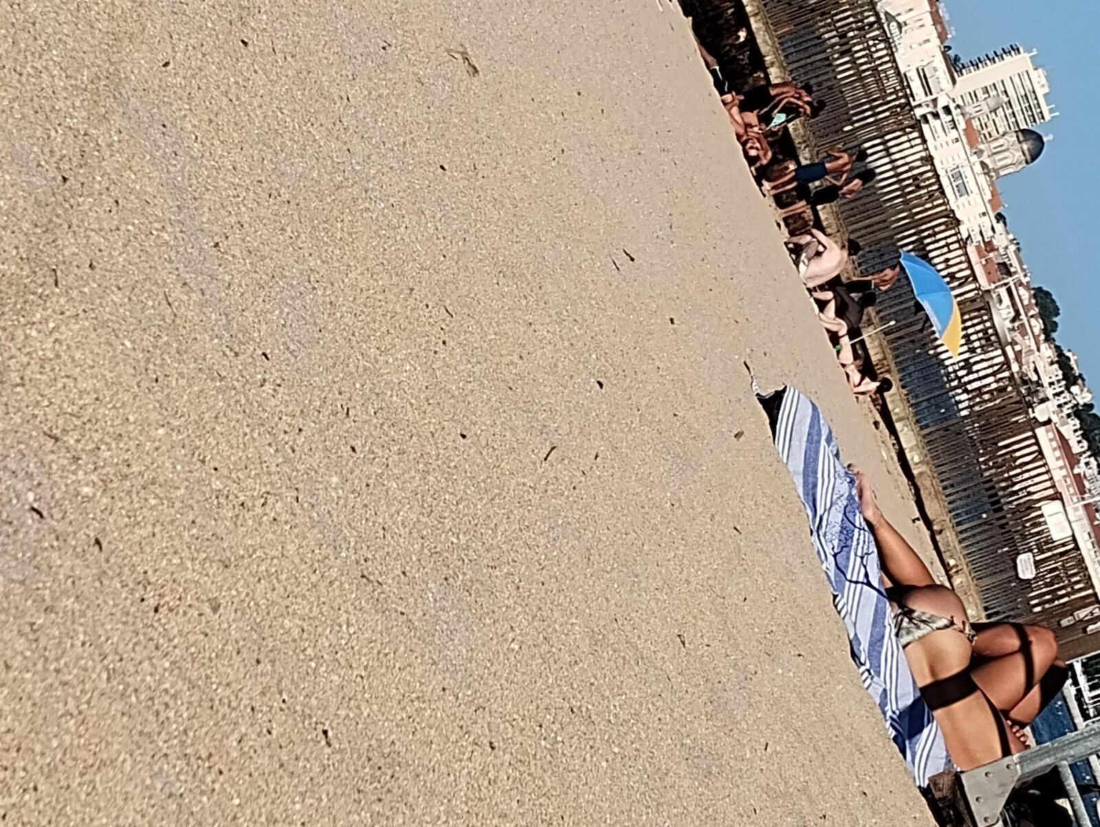 Coquines a la plage de frejus