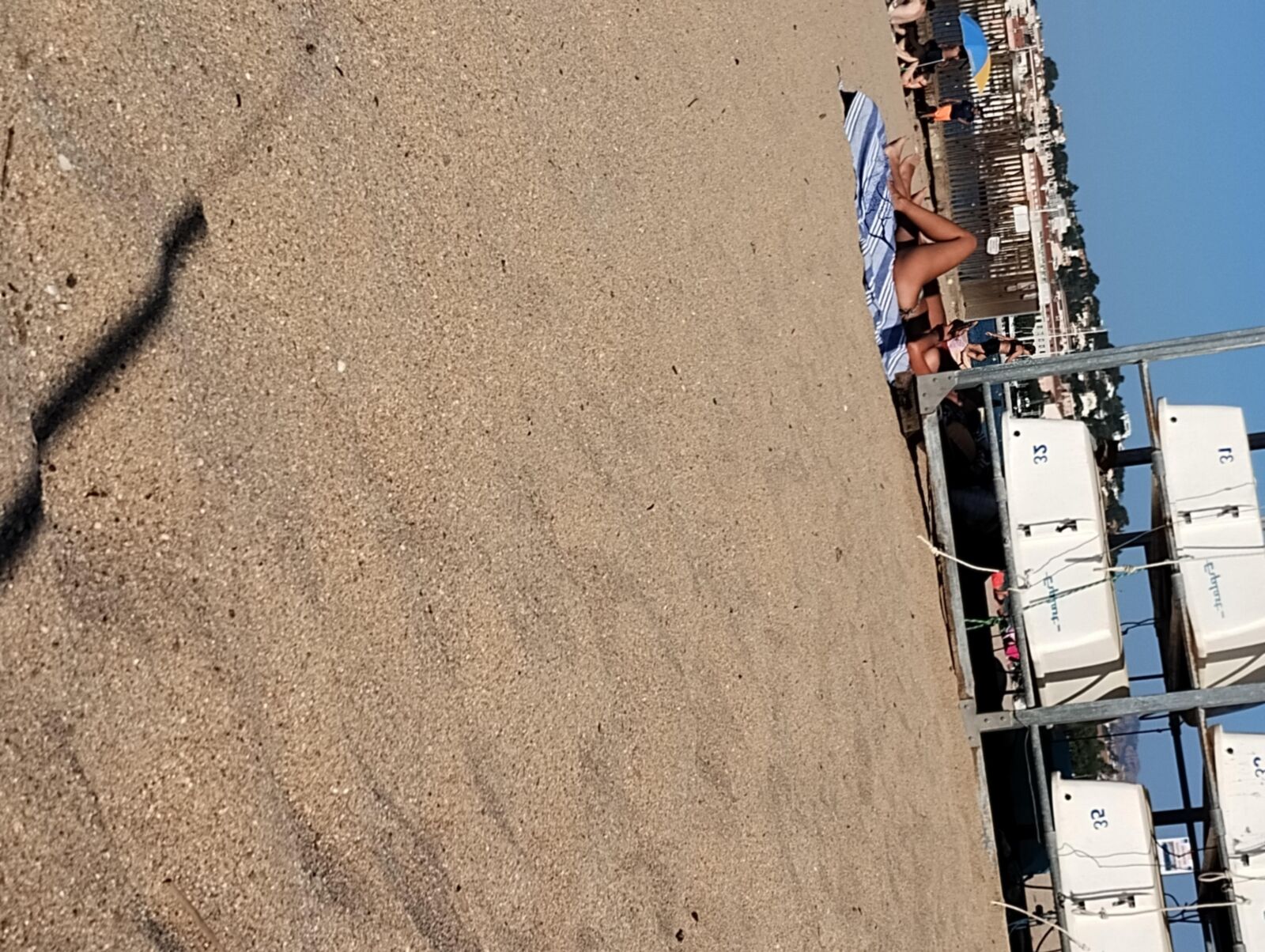 Coquines a la plage de frejus