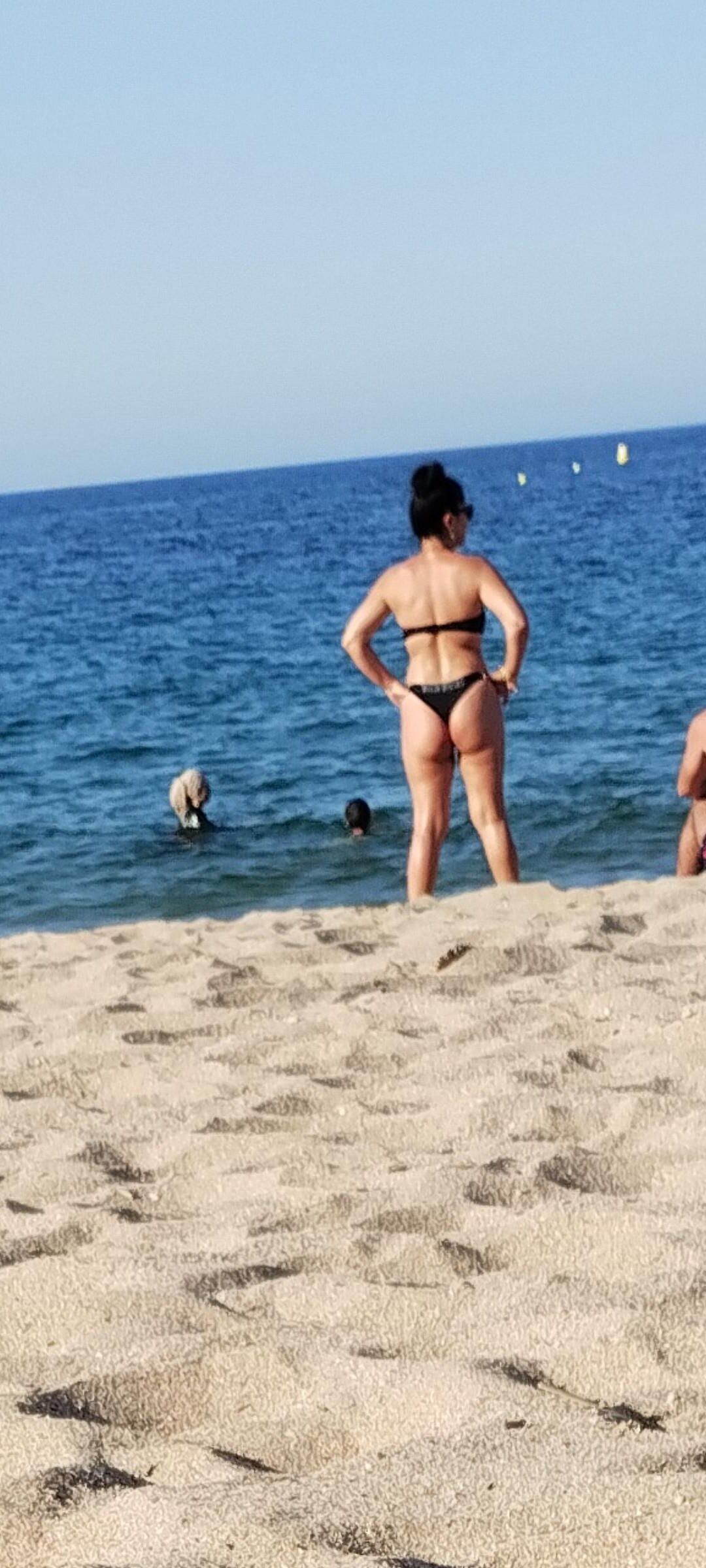 Coquines a la plage de frejus